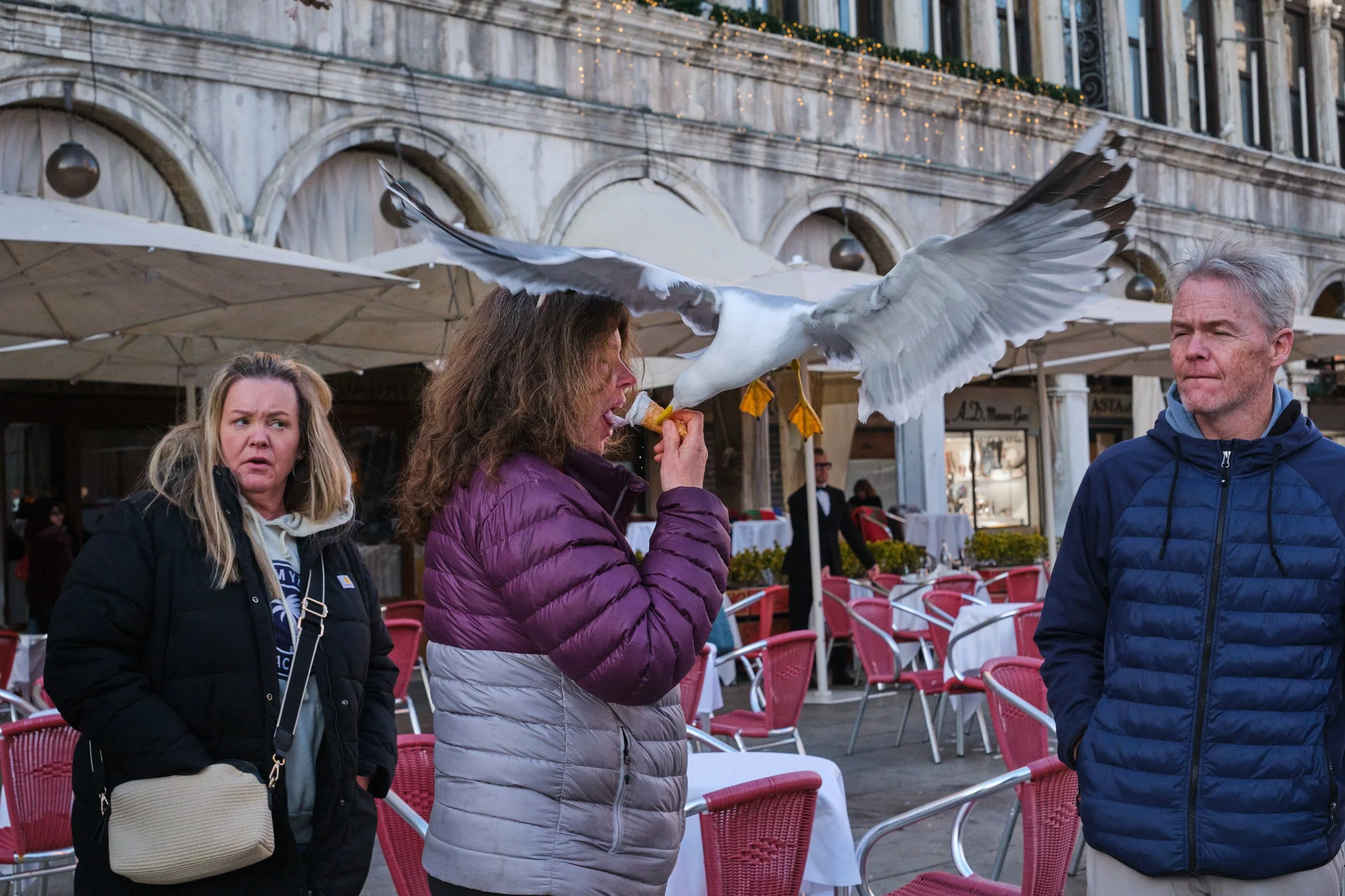 DSCF1584.jpg