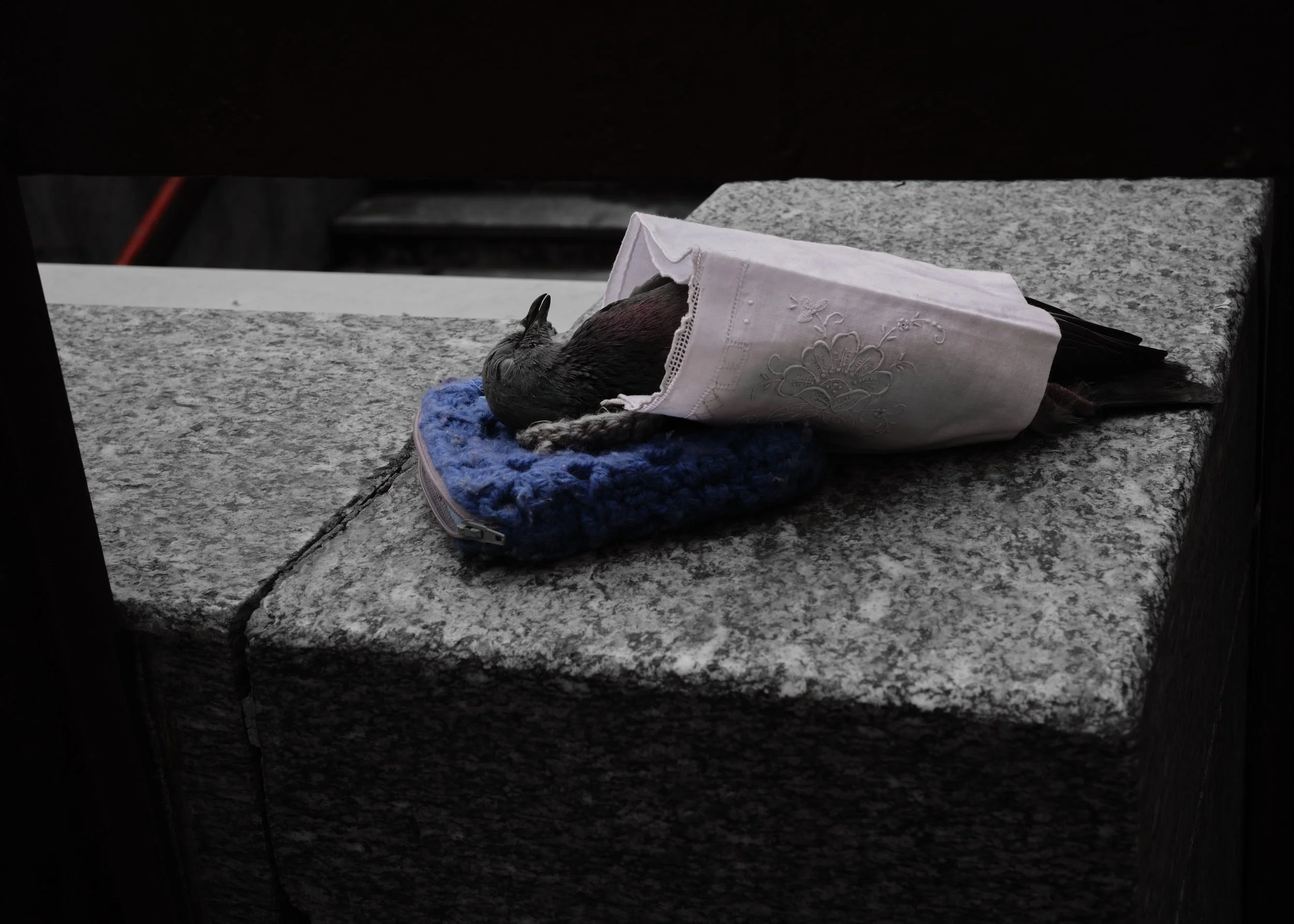 DSCF9814.jpg