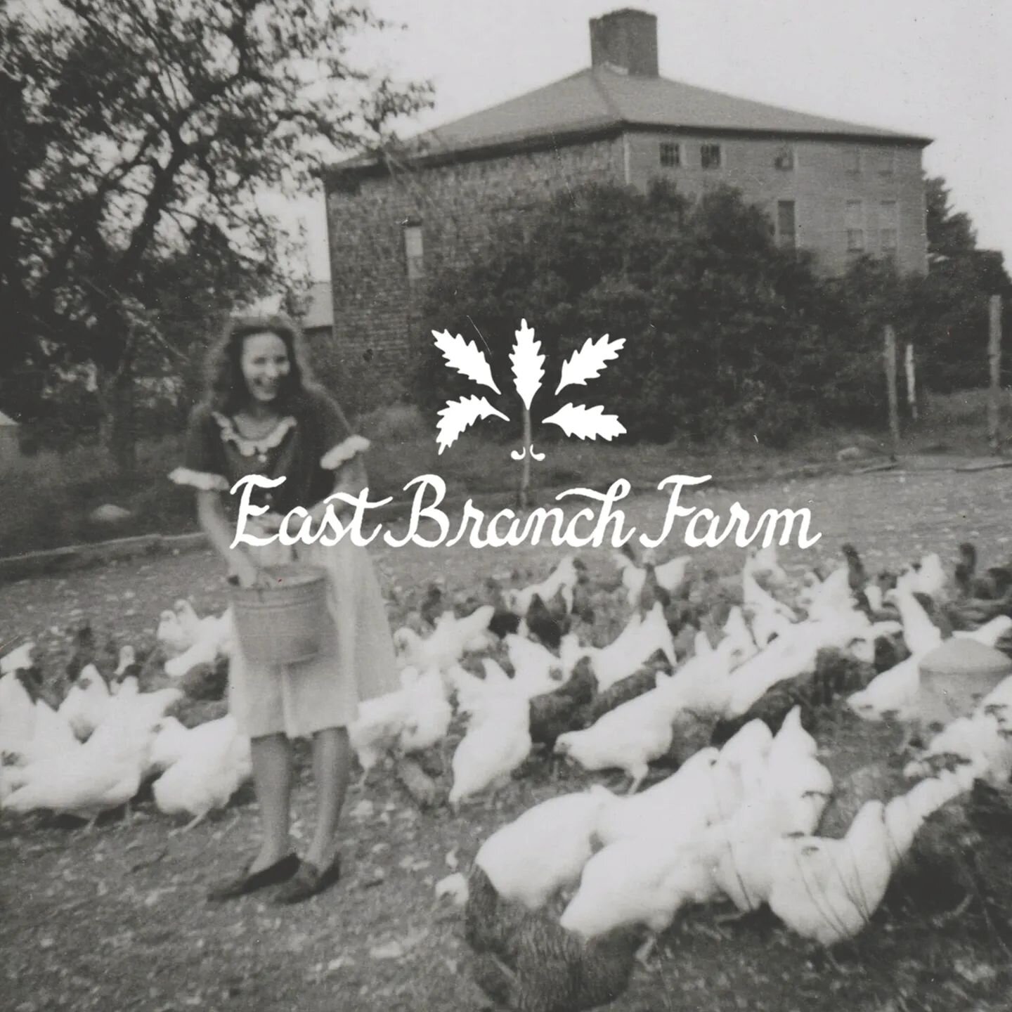 Thank you so much to @eastbranchfarm, located in South&nbsp;Durham, for their generous donation to the Durham Historical Society. We are so grateful to you!&nbsp;

East Branch Farm is a&nbsp;MOFGA Certified Organic, regenerative family farm located a