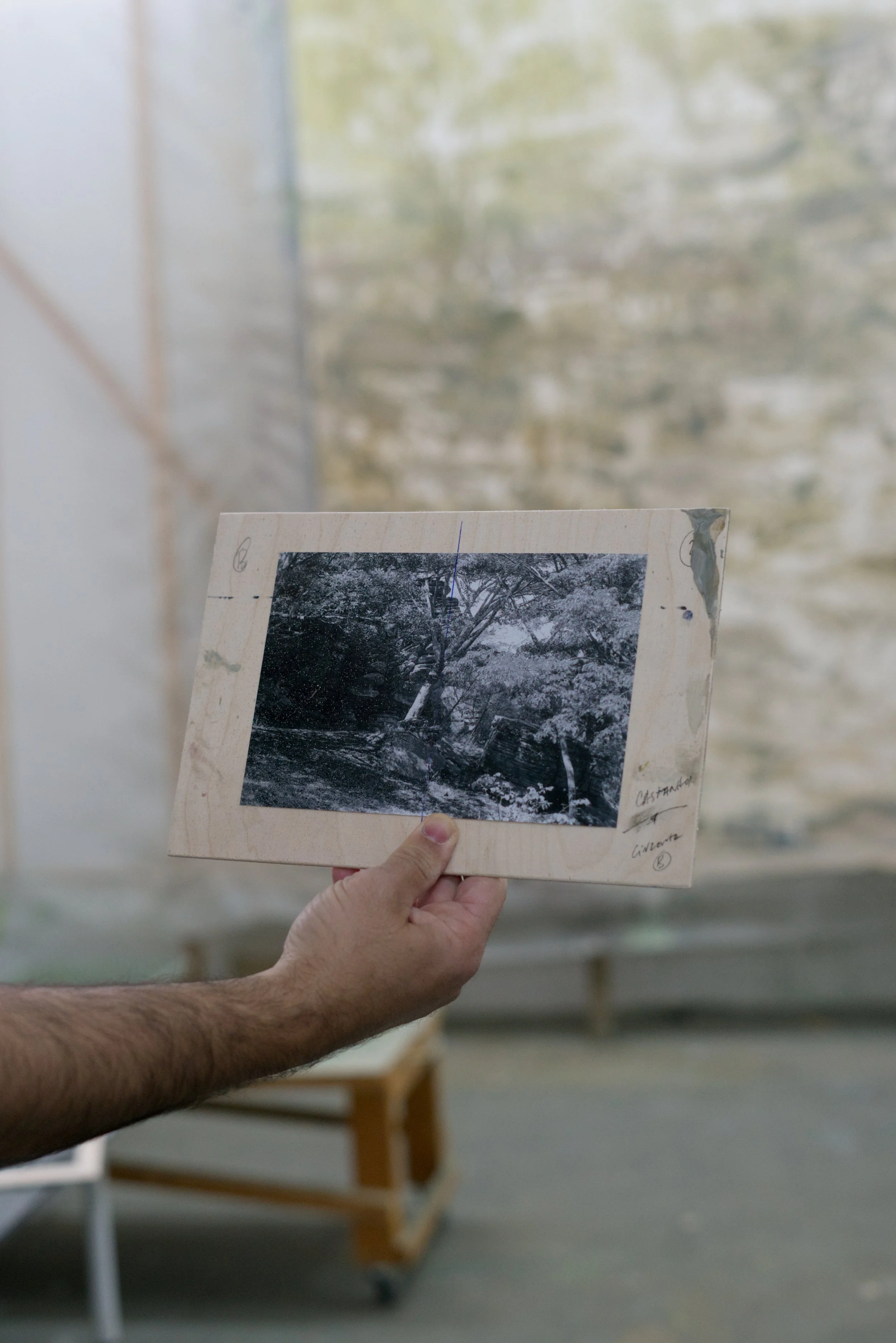 DSC09787 Pedro Vaz ©eglė duleckytė.jpeg