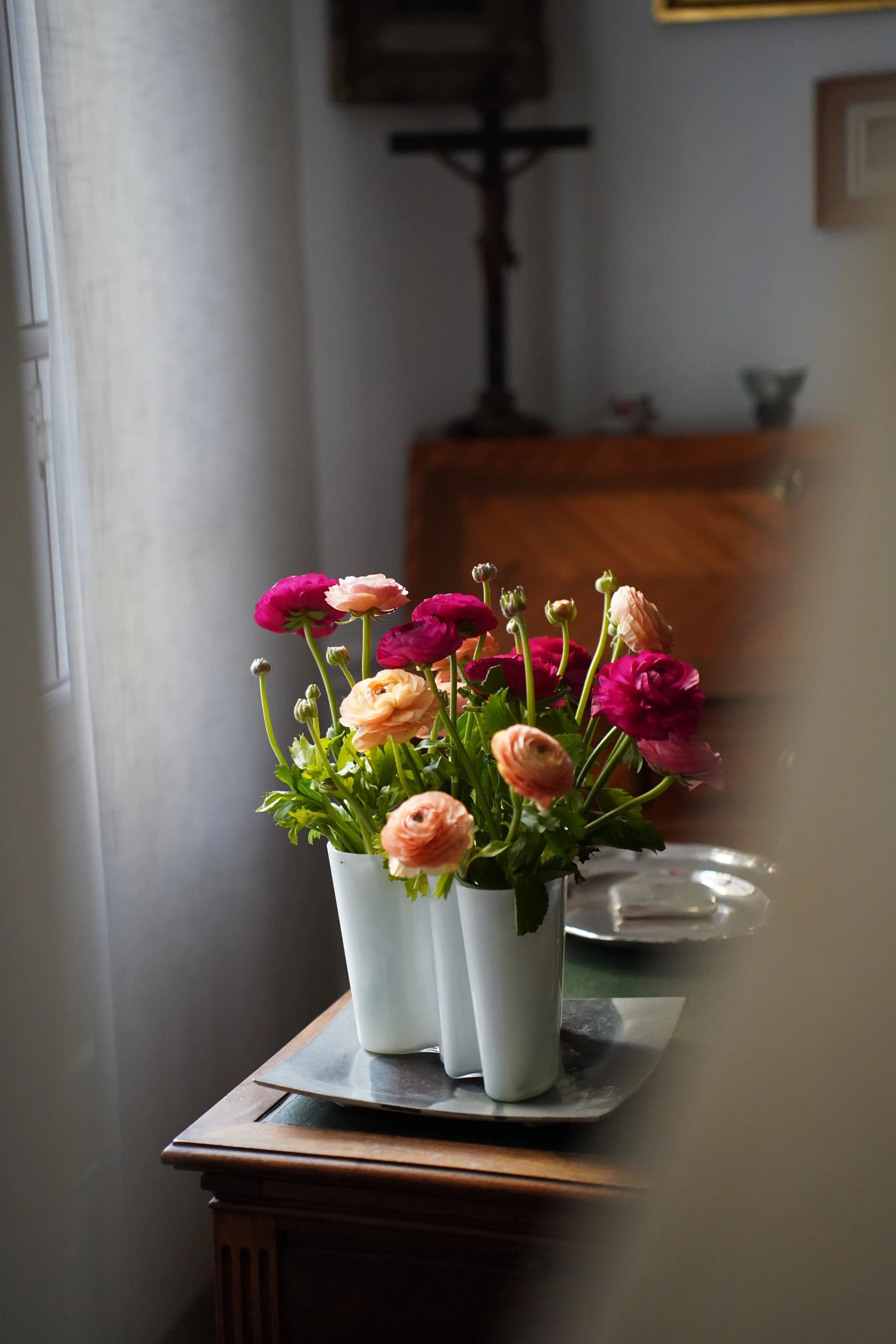 delicate_flowers_photography_2.JPG