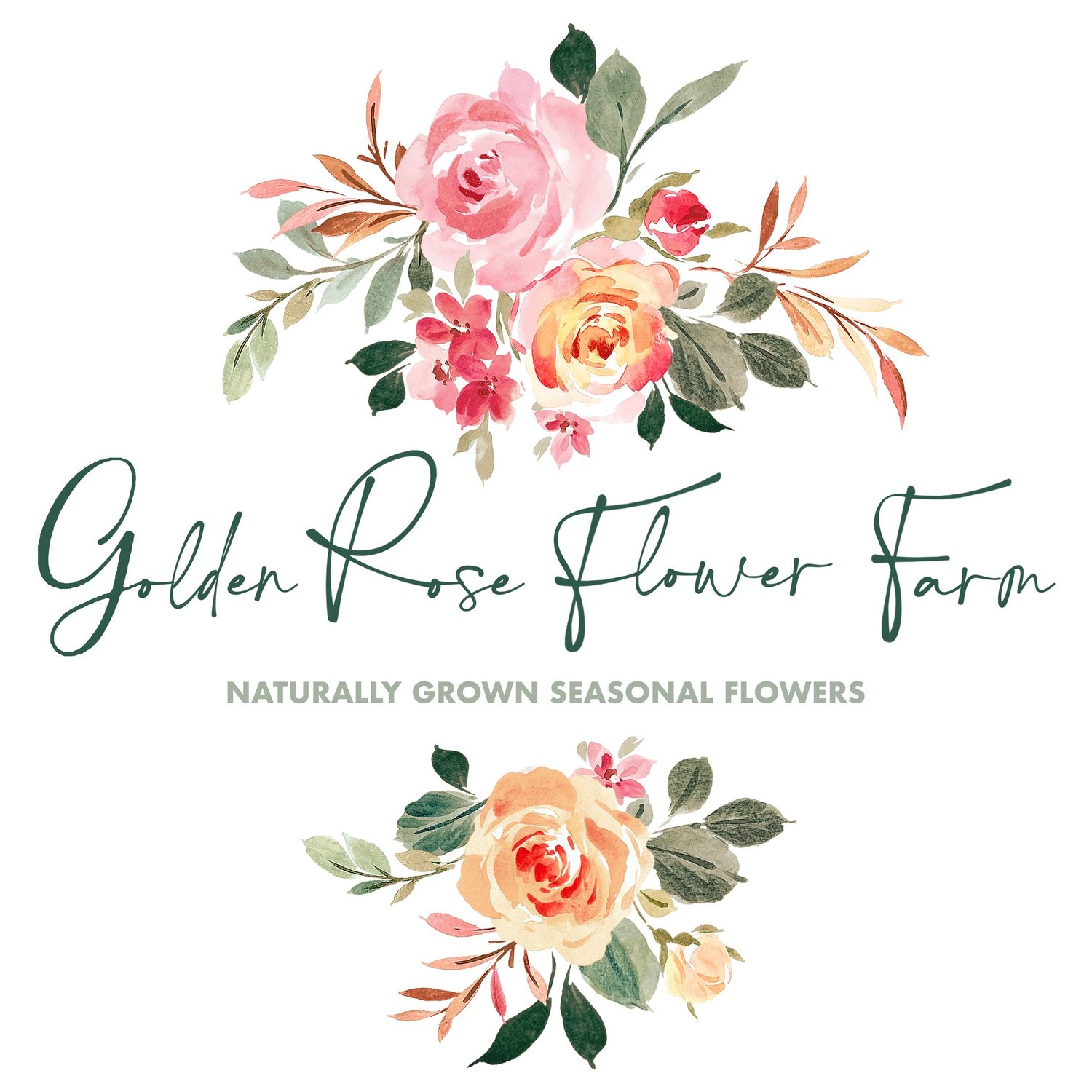 Golden Rose Flower Farm