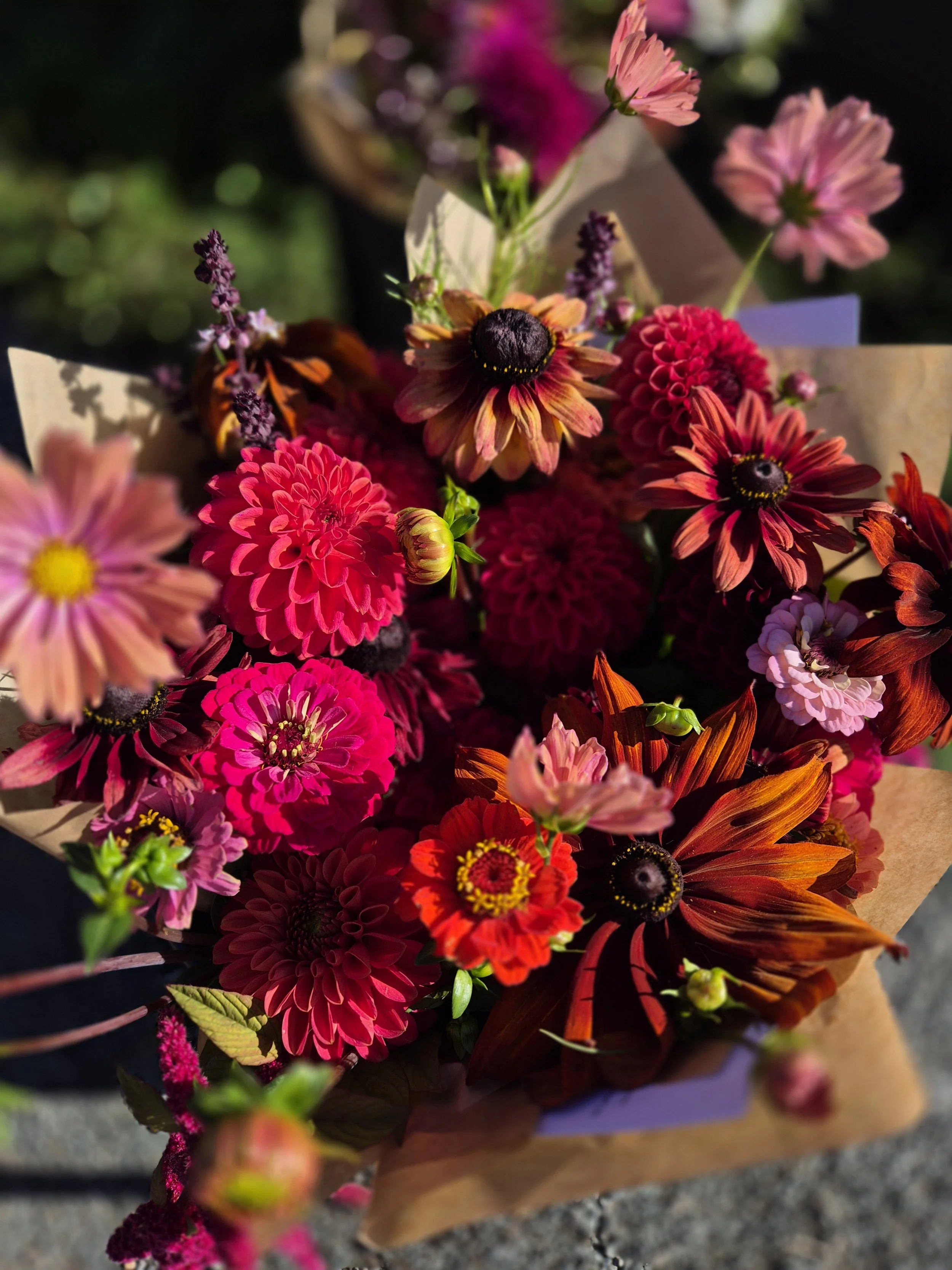 20250905_092436.jpg (Copy)