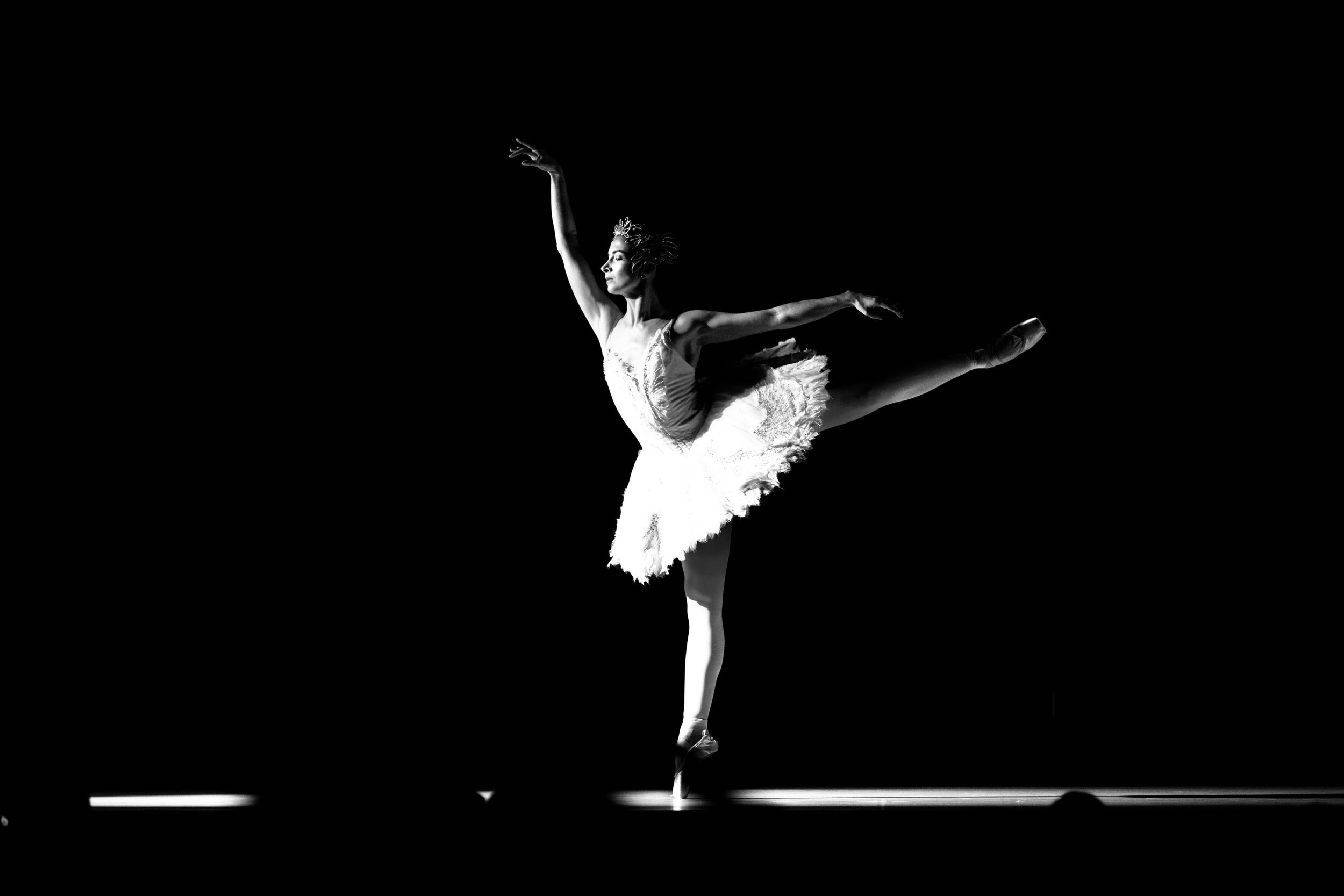 Lauren black and white arabesque.jpg