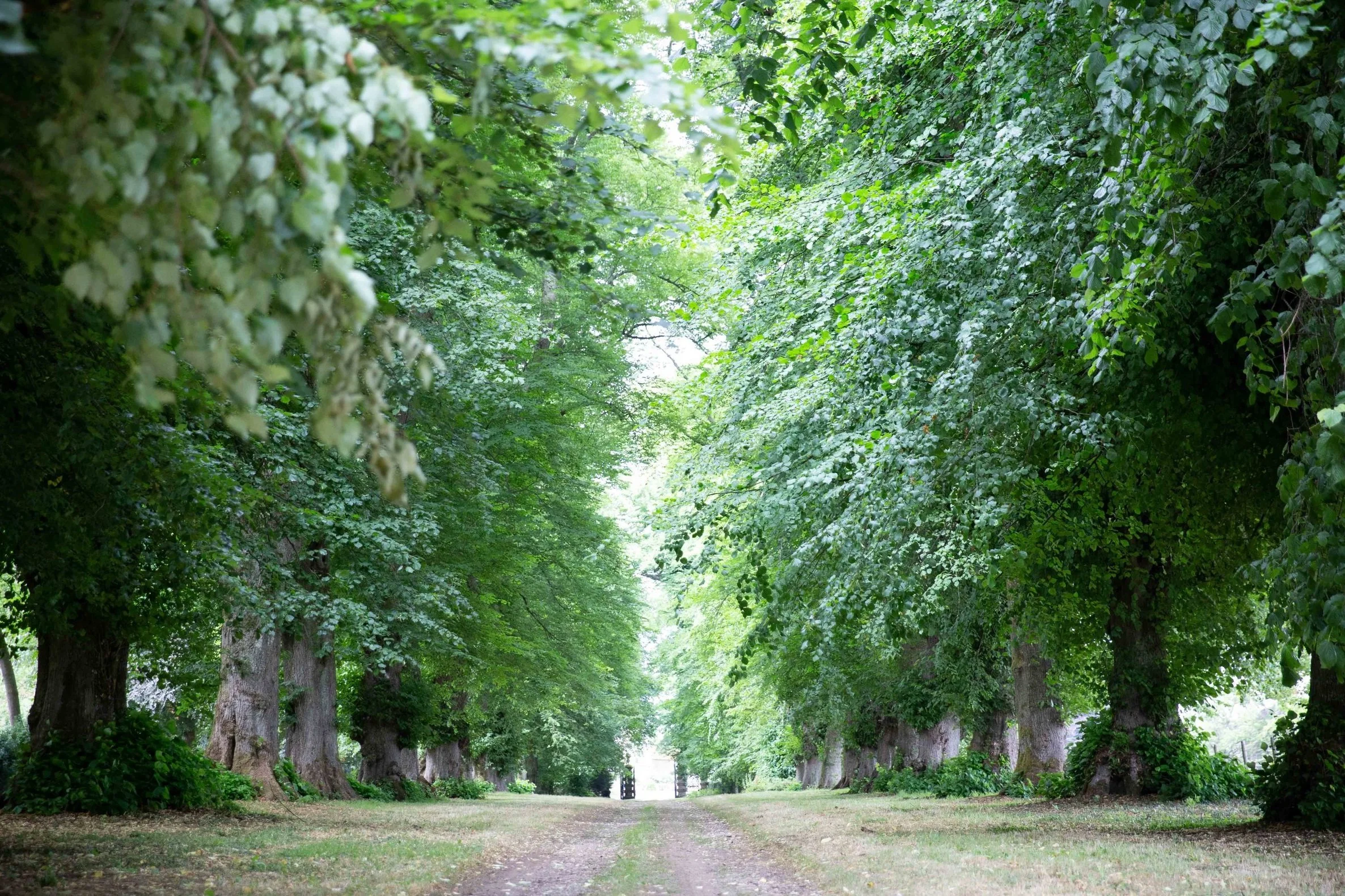 Events — Covent Garden Dance Company