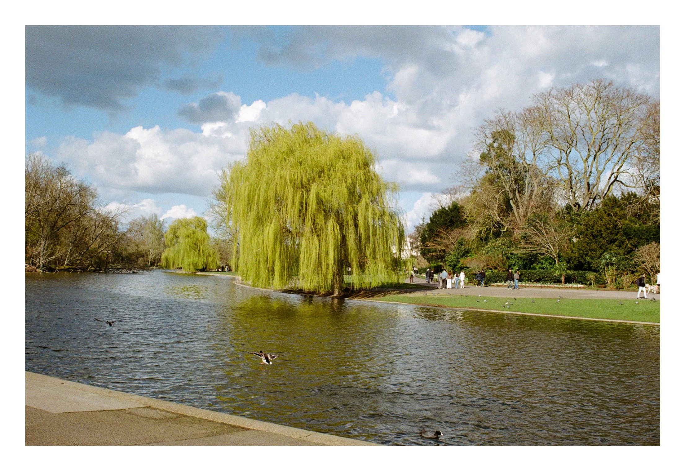 Film_Colour_12.JPG