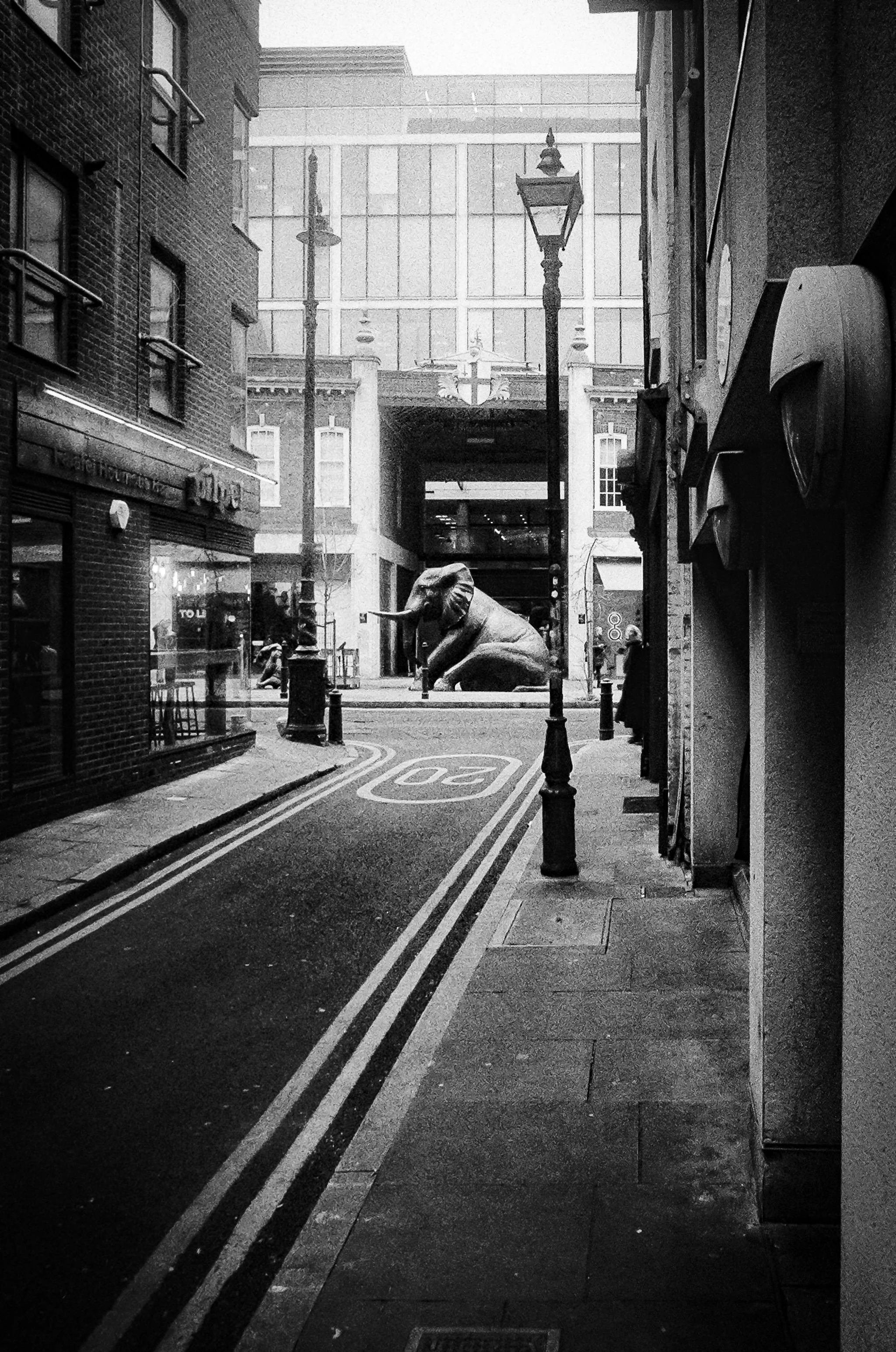 Film_B&W_29.JPG