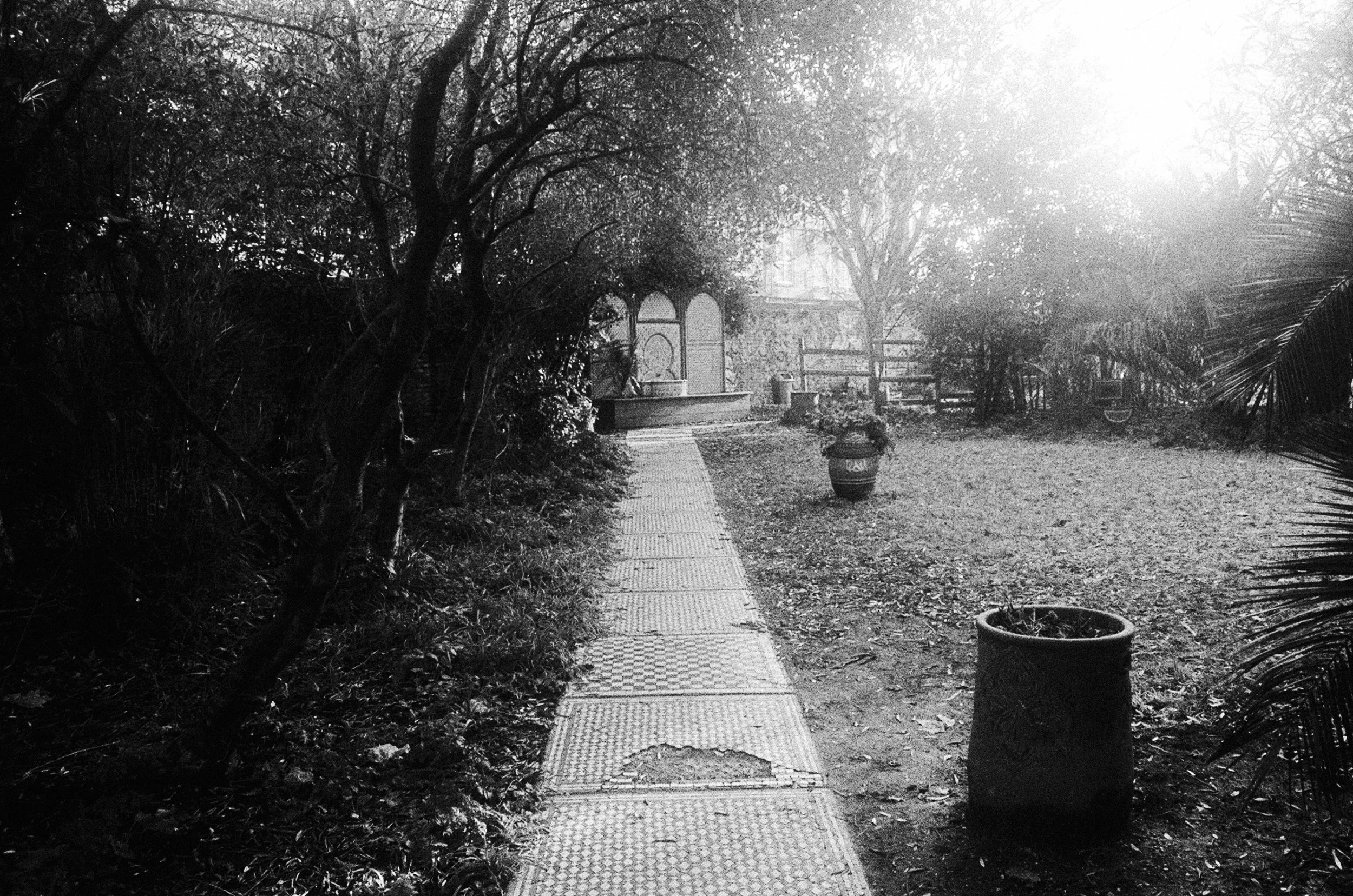 Film_B&W_27.JPG