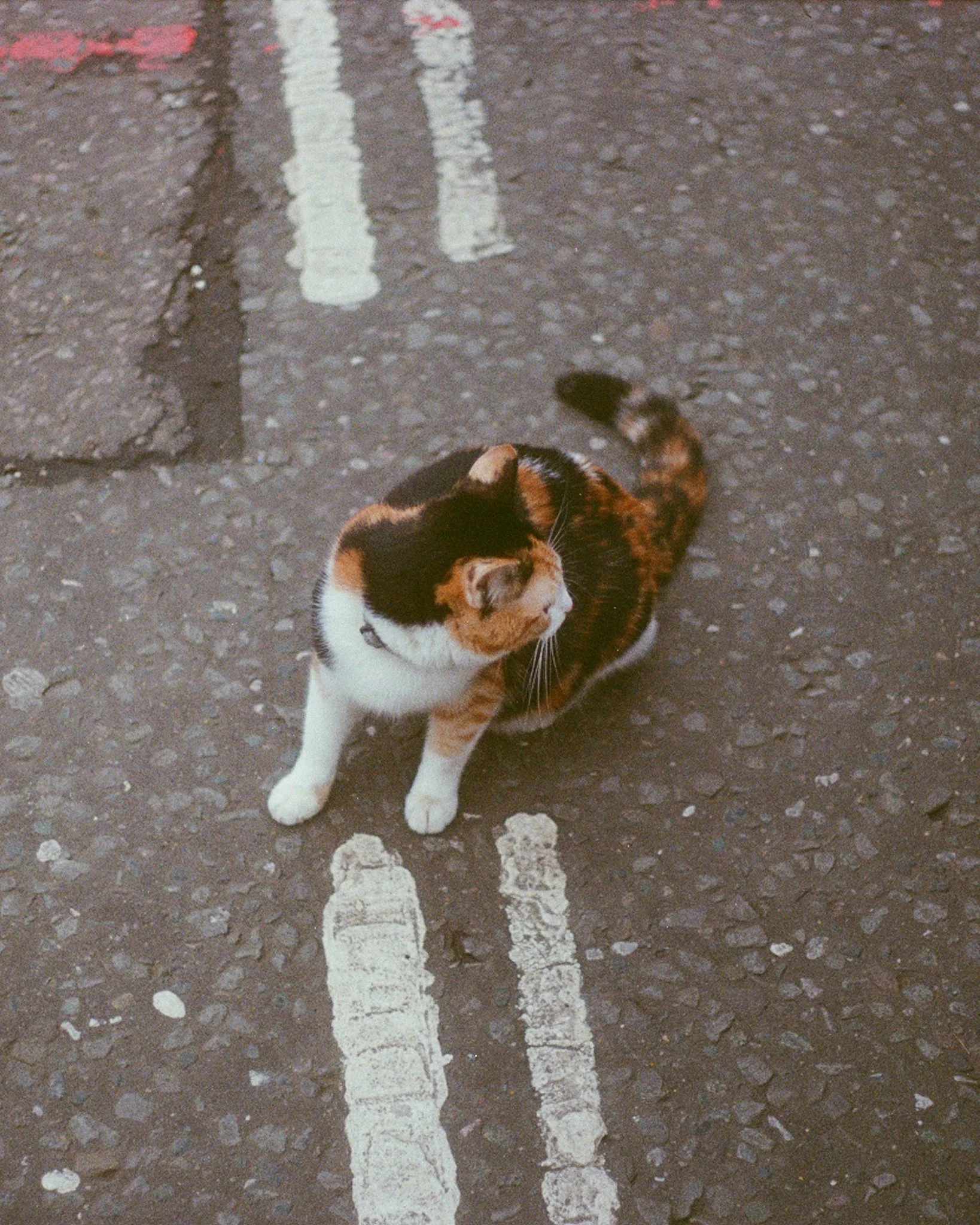 Film_Colour_21.JPG