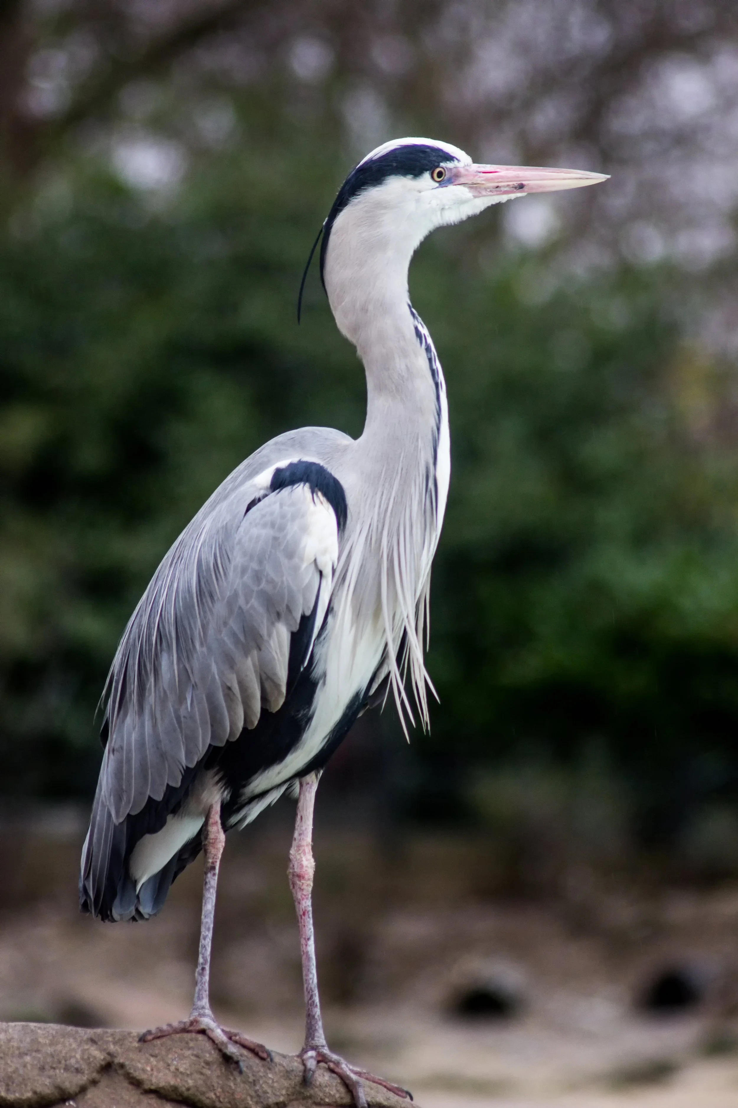 IMG_3100-Edit-2.jpg