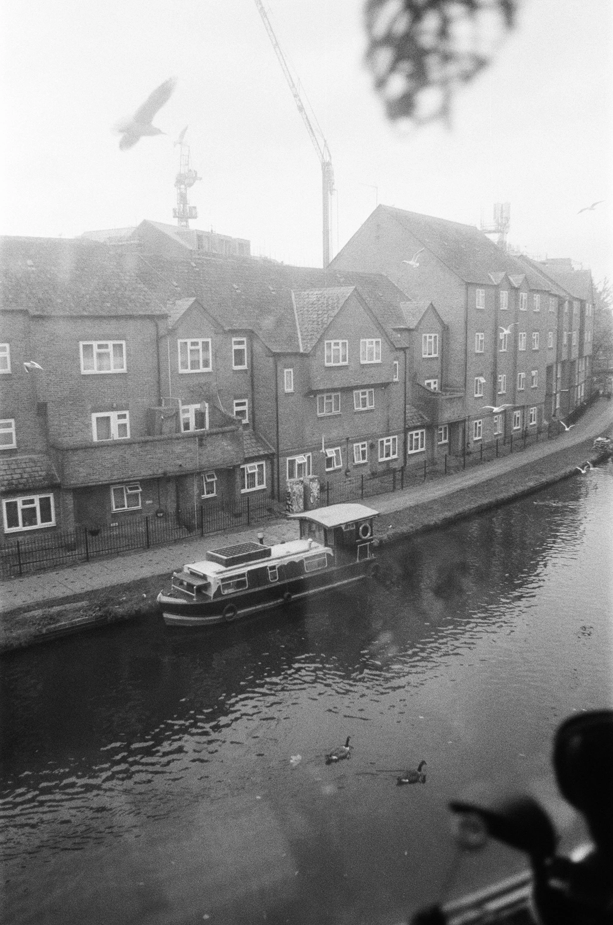 Film_B&W_10.png