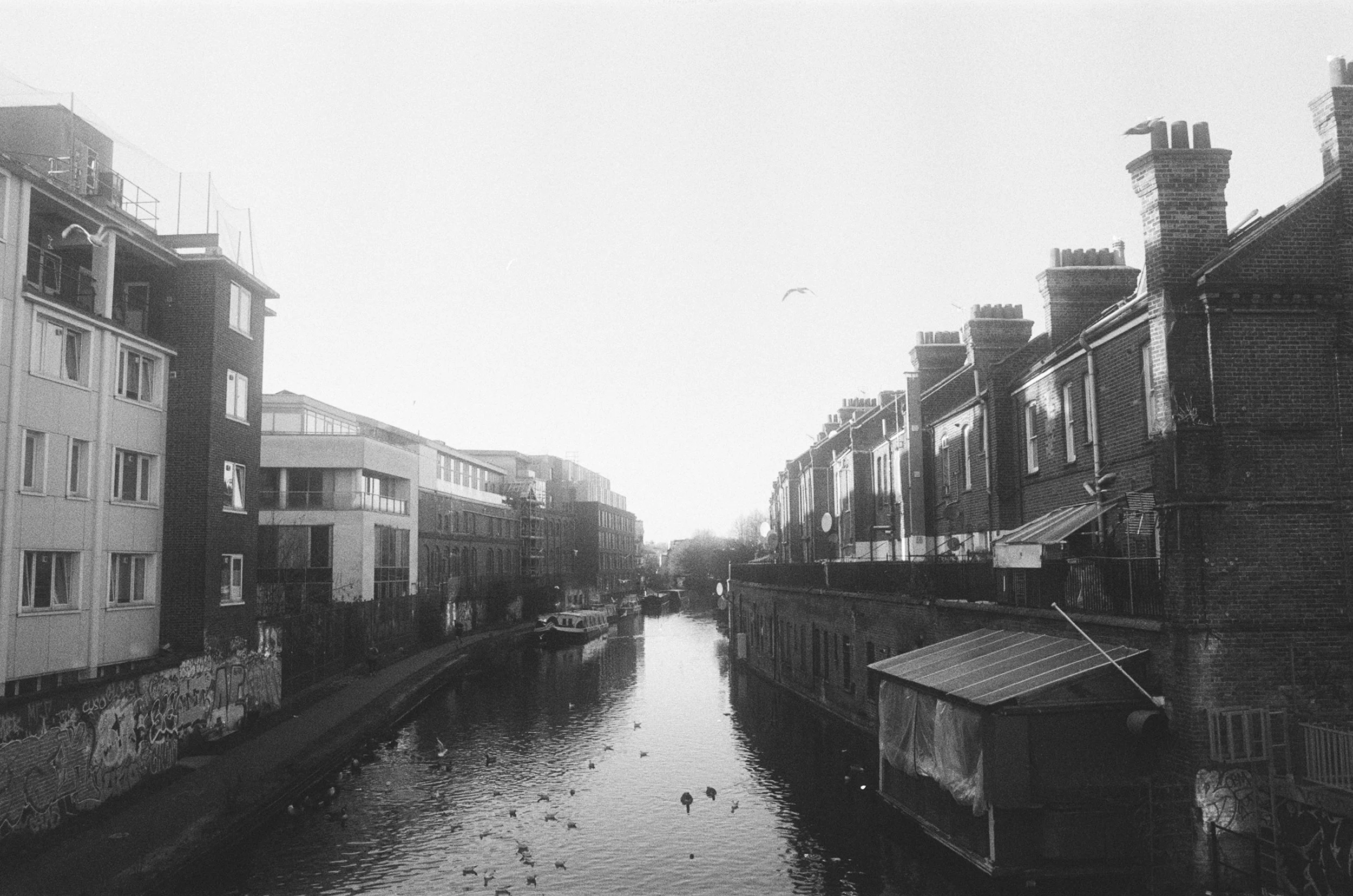 Film_B&W_14.png