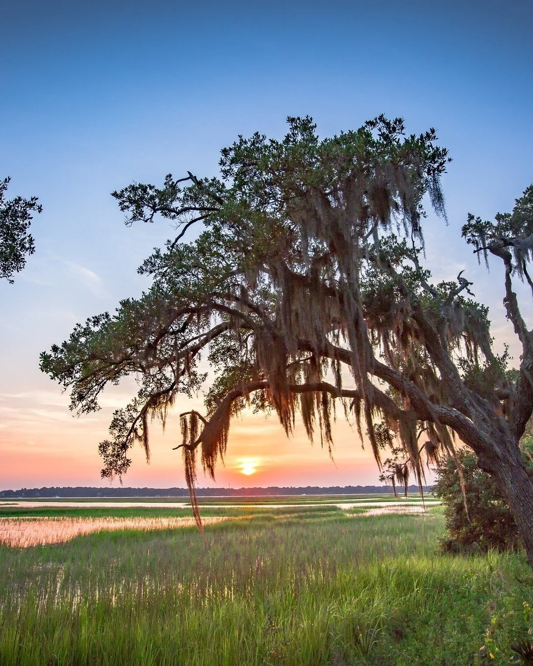 The early off-season around Hilton Head and Bluffton reminds us why we love calling this place home. 

#welivewhereyouvacation #hiltonheadisland #blufftonsc #tuckermarketinggroup