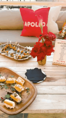 APOLLO - HAMPTONS FUNDRAISER