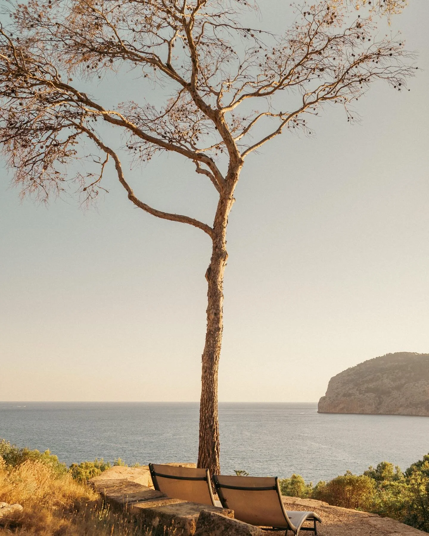 A summer evening story of the fading golden light 🌅

#goldenhourlight #summer #sunsetlight #mallorca #beautifulmoments #lifestylephotographer #travelphotography #travelmag #moody_captures #artphoto #leicastory #catchmyzoom