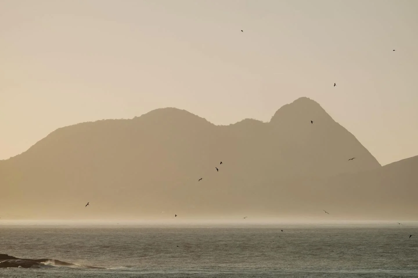 Held by Morning. Pulse. 

#slowliving #fineartphotography #interiorart