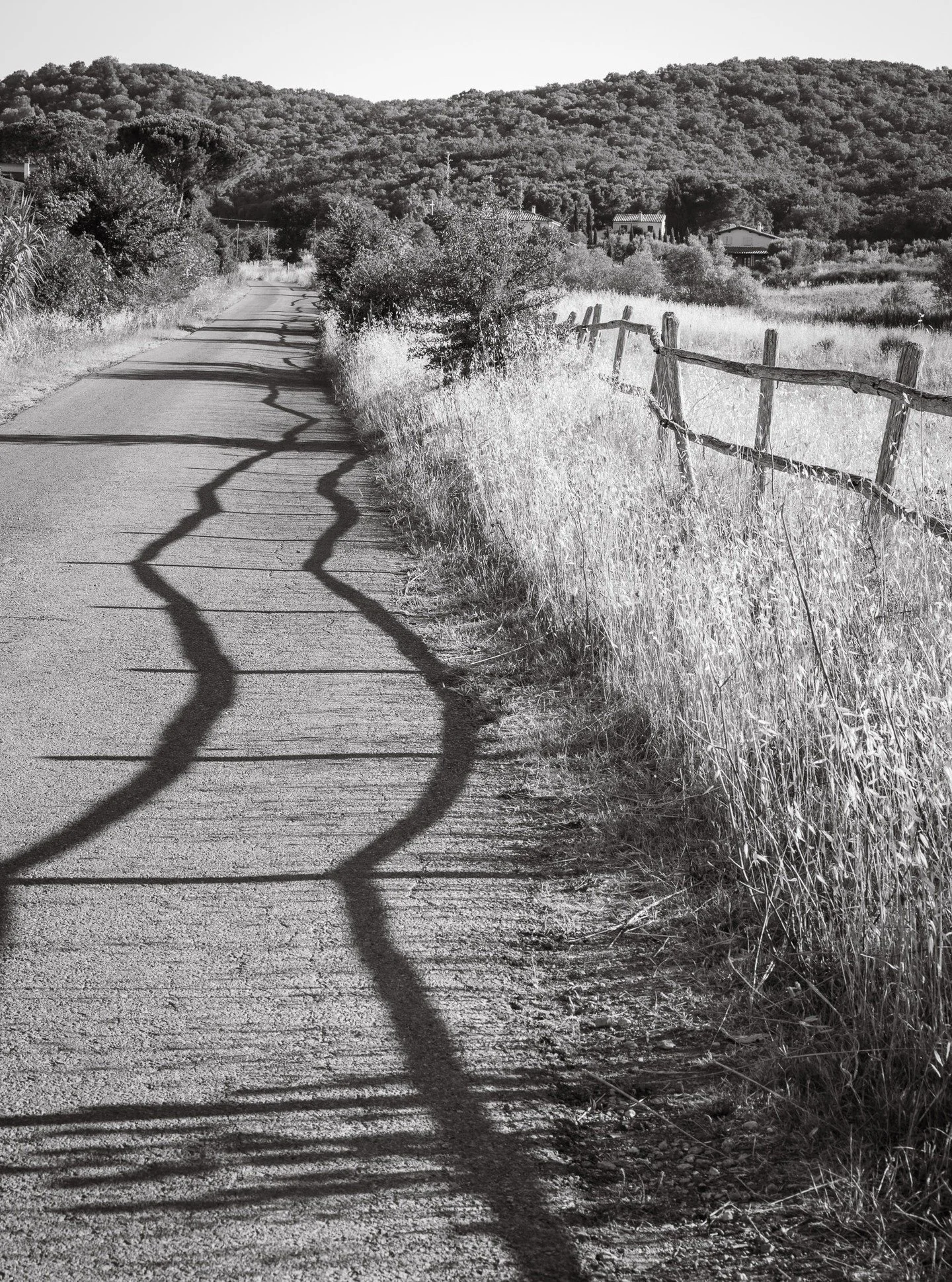 Where Light Rests
A quieter way of seeing

Now live on catchmyzoom.

#visualjournal #blackandwhitephotography #quietmoments #fineartphotography #lightandshadows #catchmyzoom