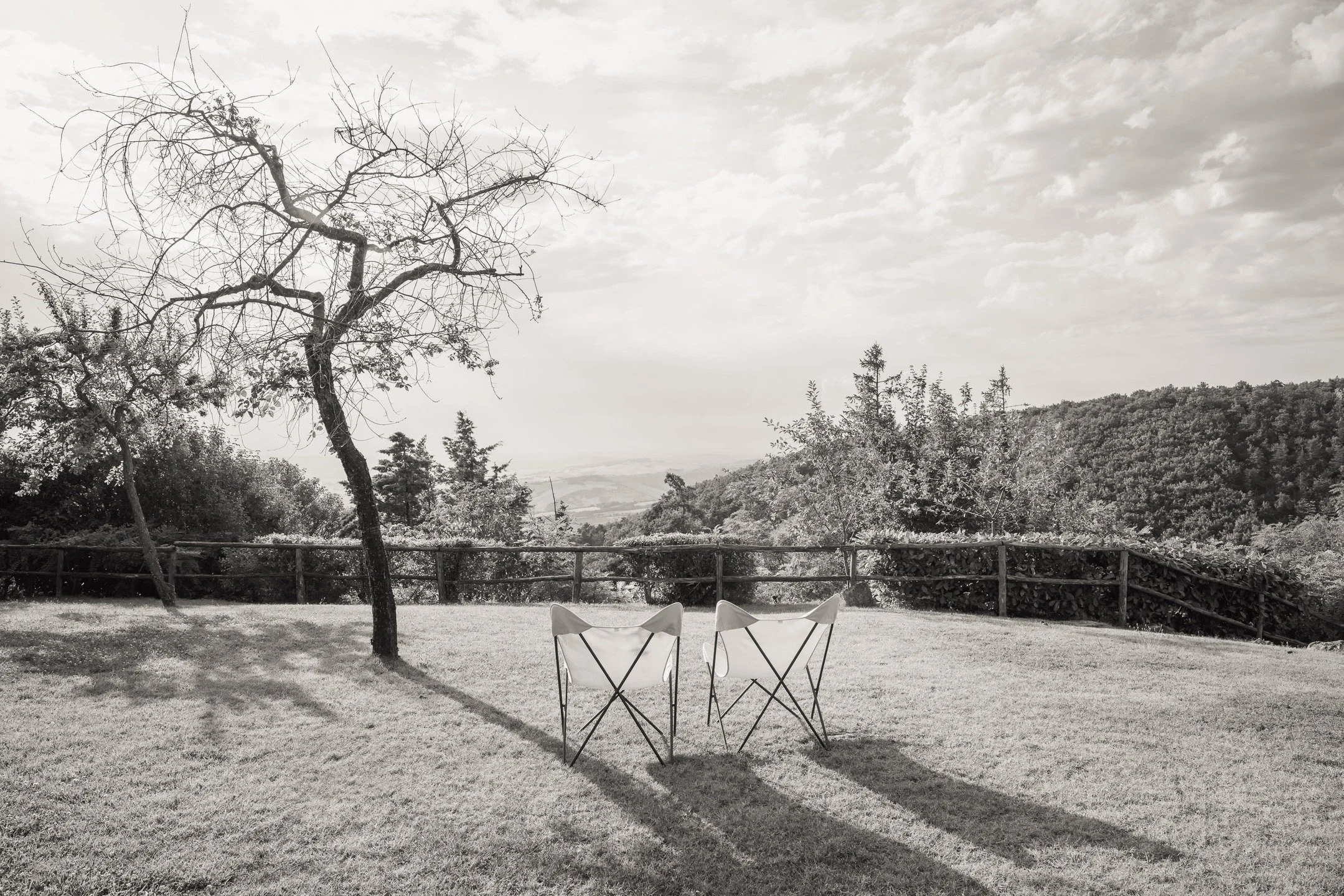 Where Light Rests

#visualjournal #quietmoments #lightandshadows #fineartphotography #blackandwhite #travelphotography