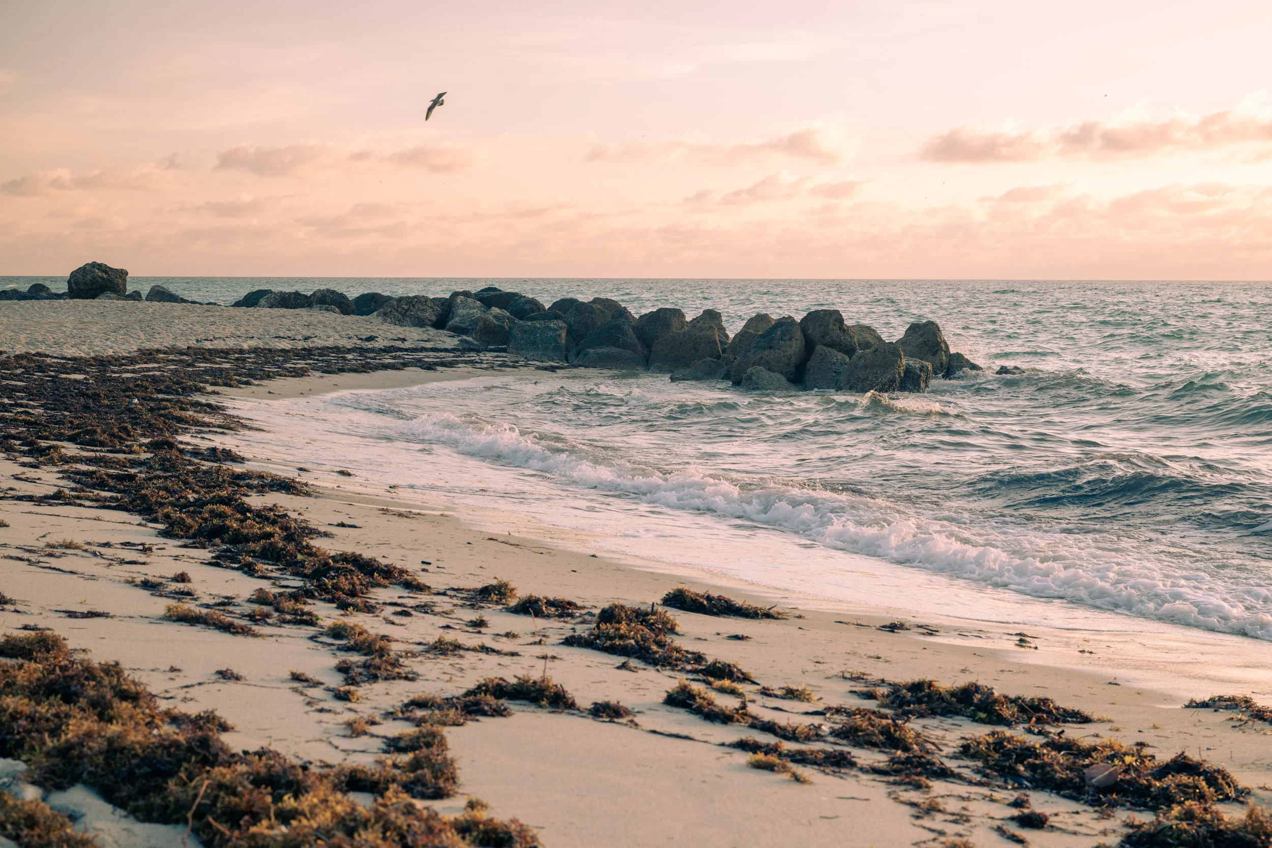 Coastal shoreline in Miami with soft light, pale sand, and gentle waves under an open horizon