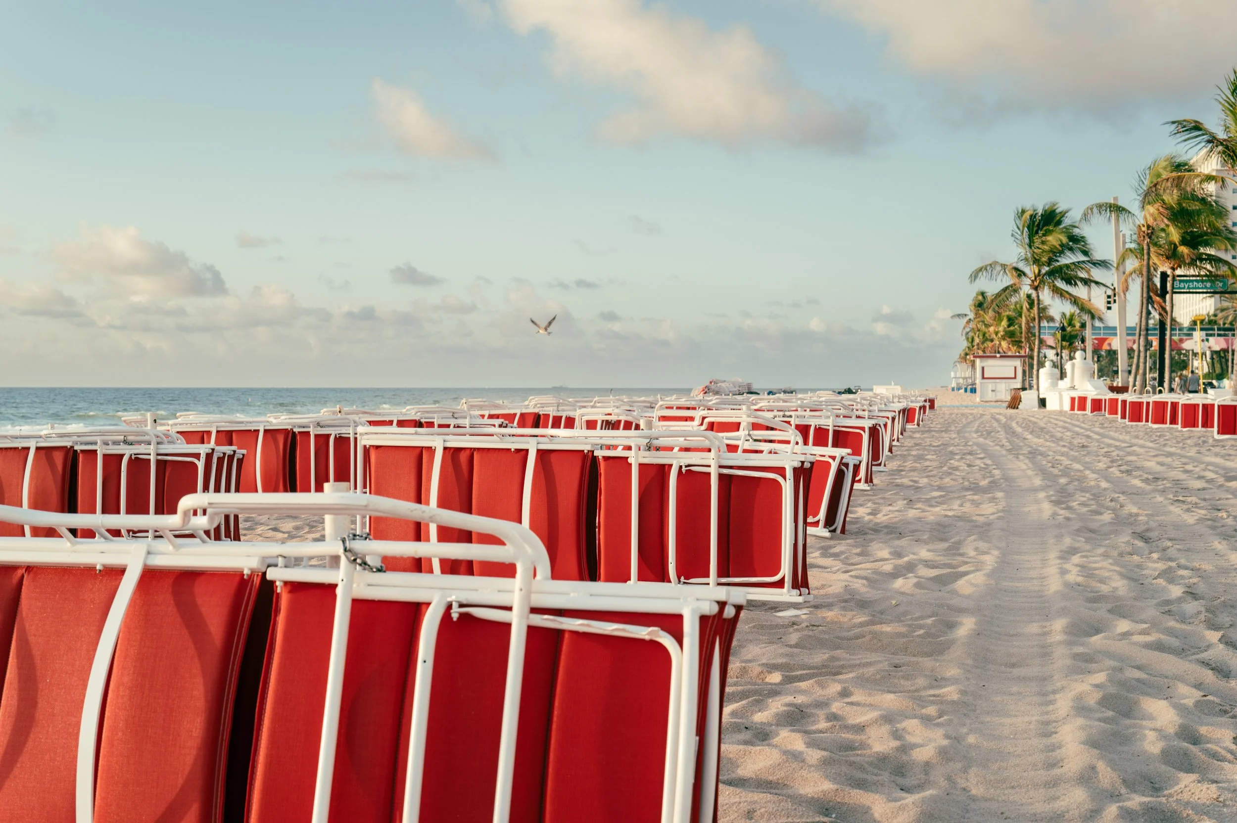 Rows of red beach chairs aligned on sand facing the ocean horizon with a bird flying over them in Fort Lauderdale