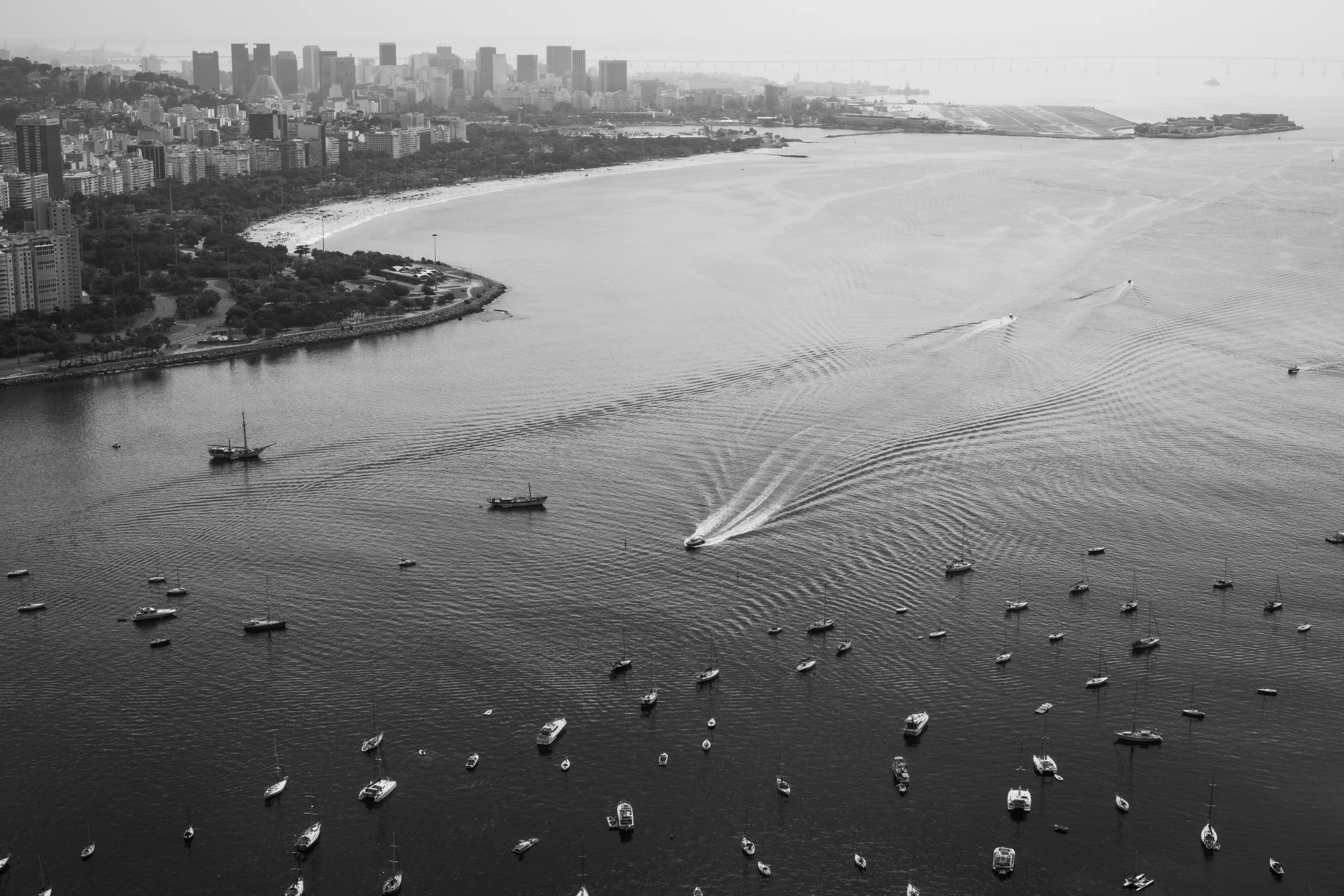 While The City Moves