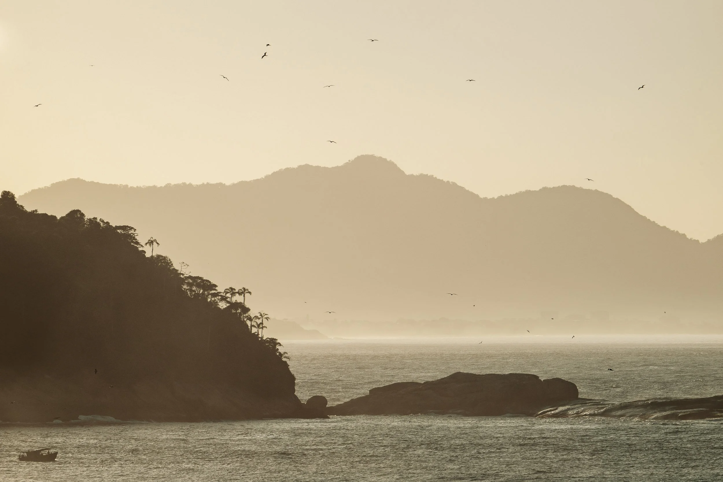 Misty coastal scene in Rio at dawn, with soft golden light over calm water, distant shoreline fading into haze, and birds flying low across the horizon.