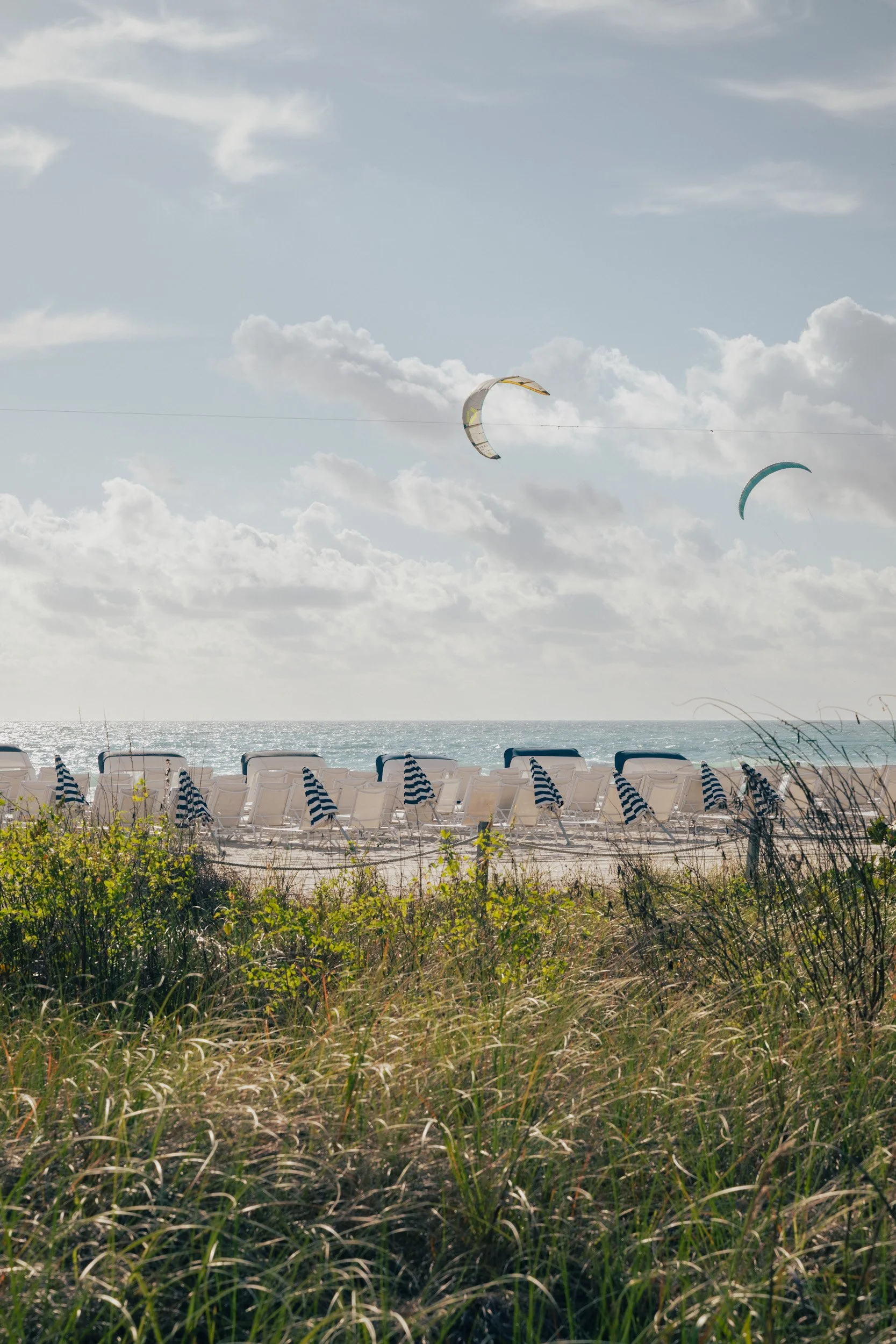 Colourful kites flying above grassy beach area under soft blue sky in Miami