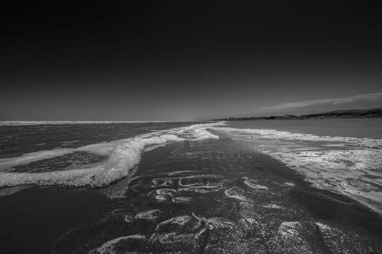 _MG_3483.JPG