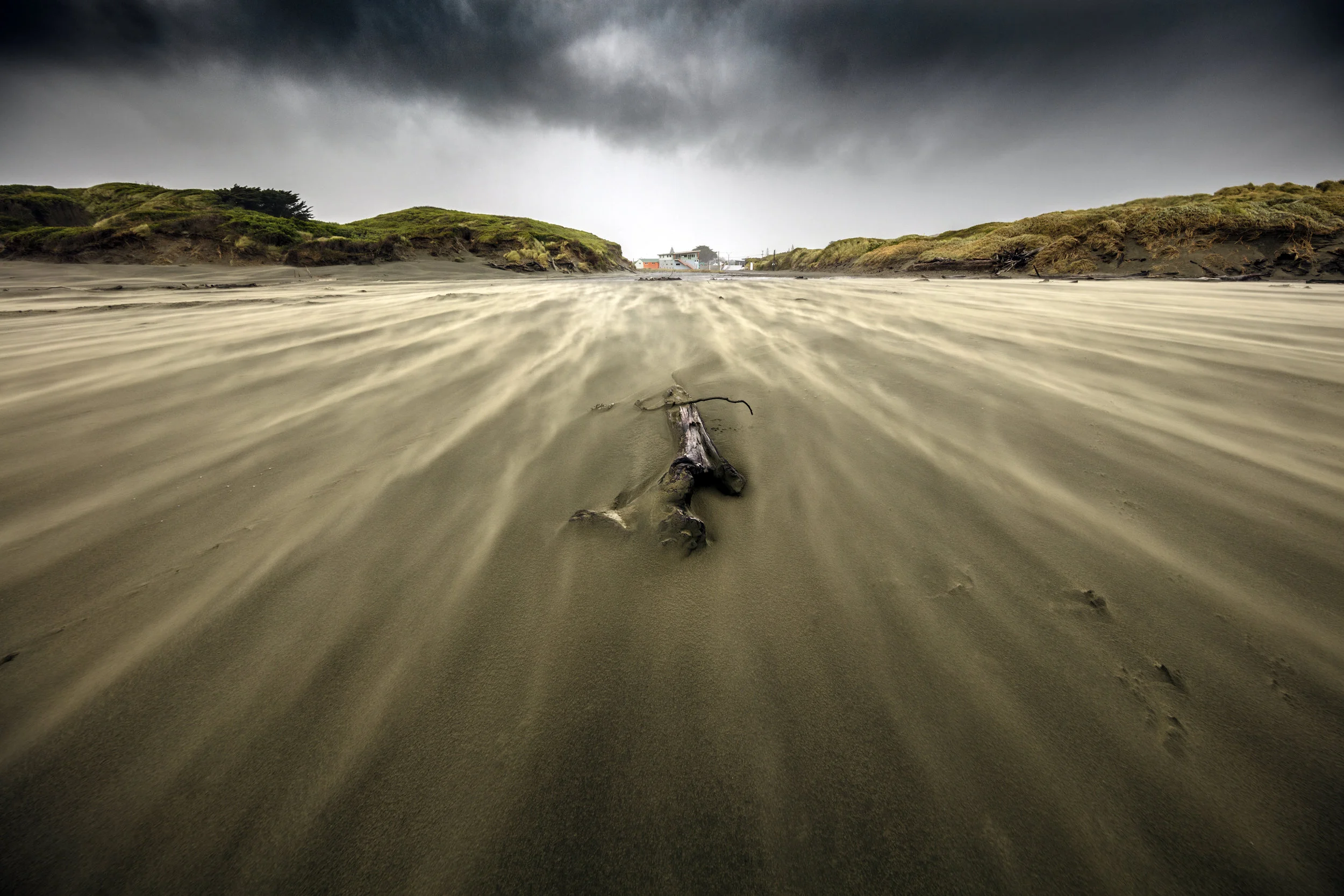 New Zealand beach with driftwood