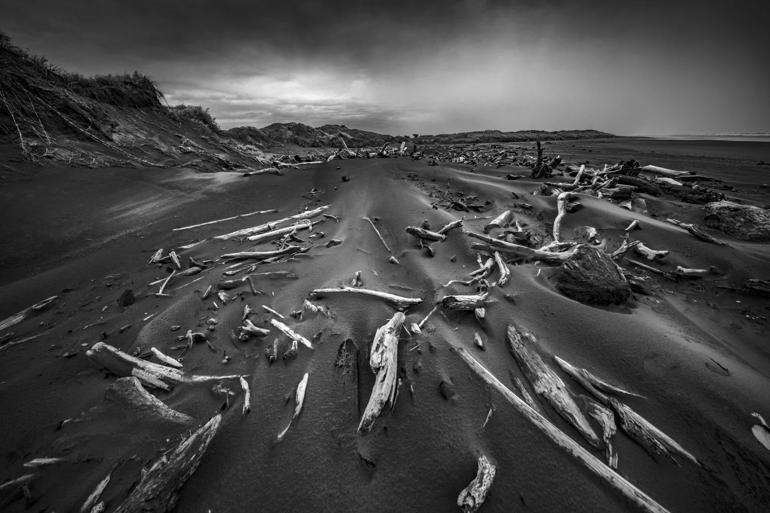 Driftwood, New Zealand