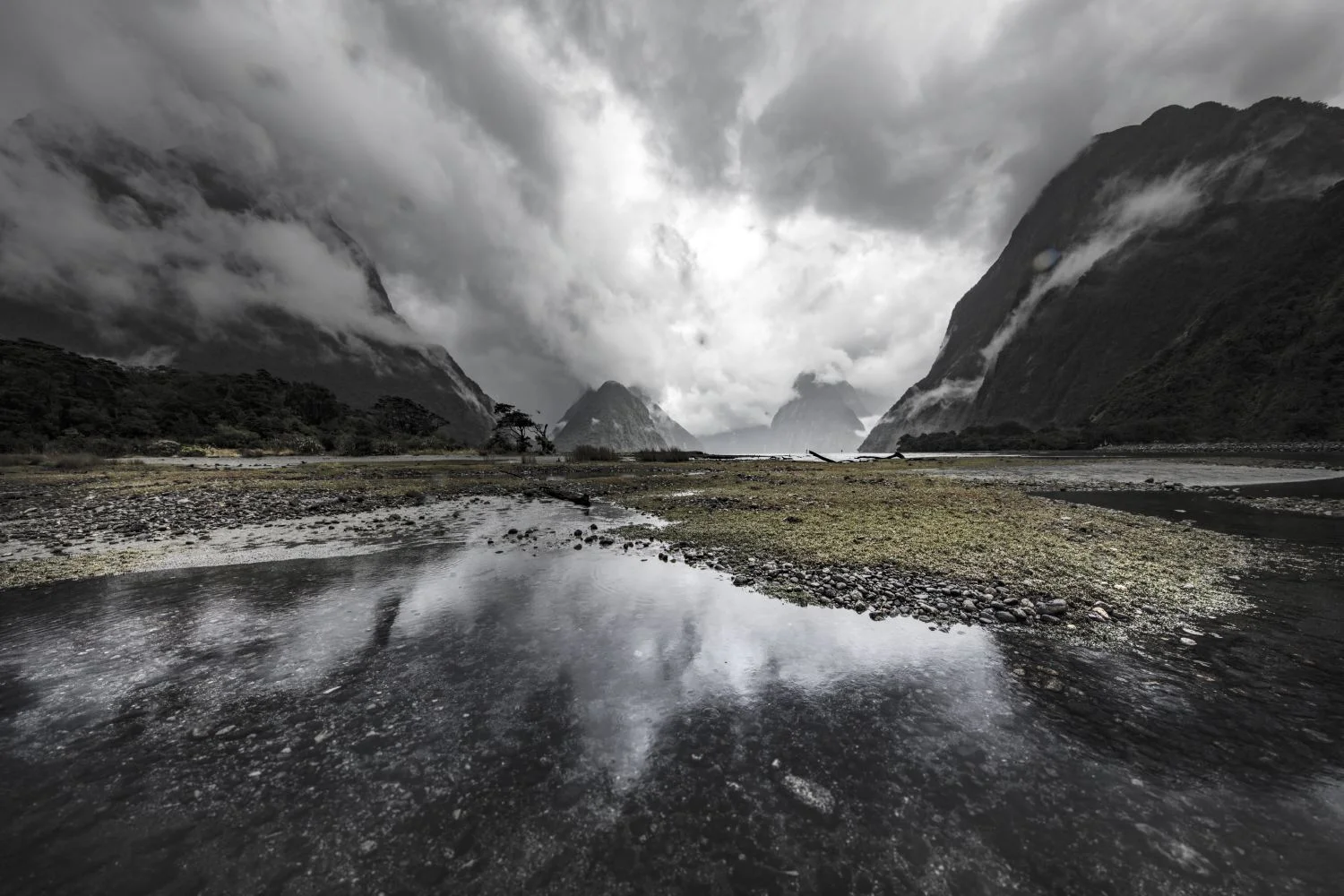 Fiordland, South Island, New Zealand