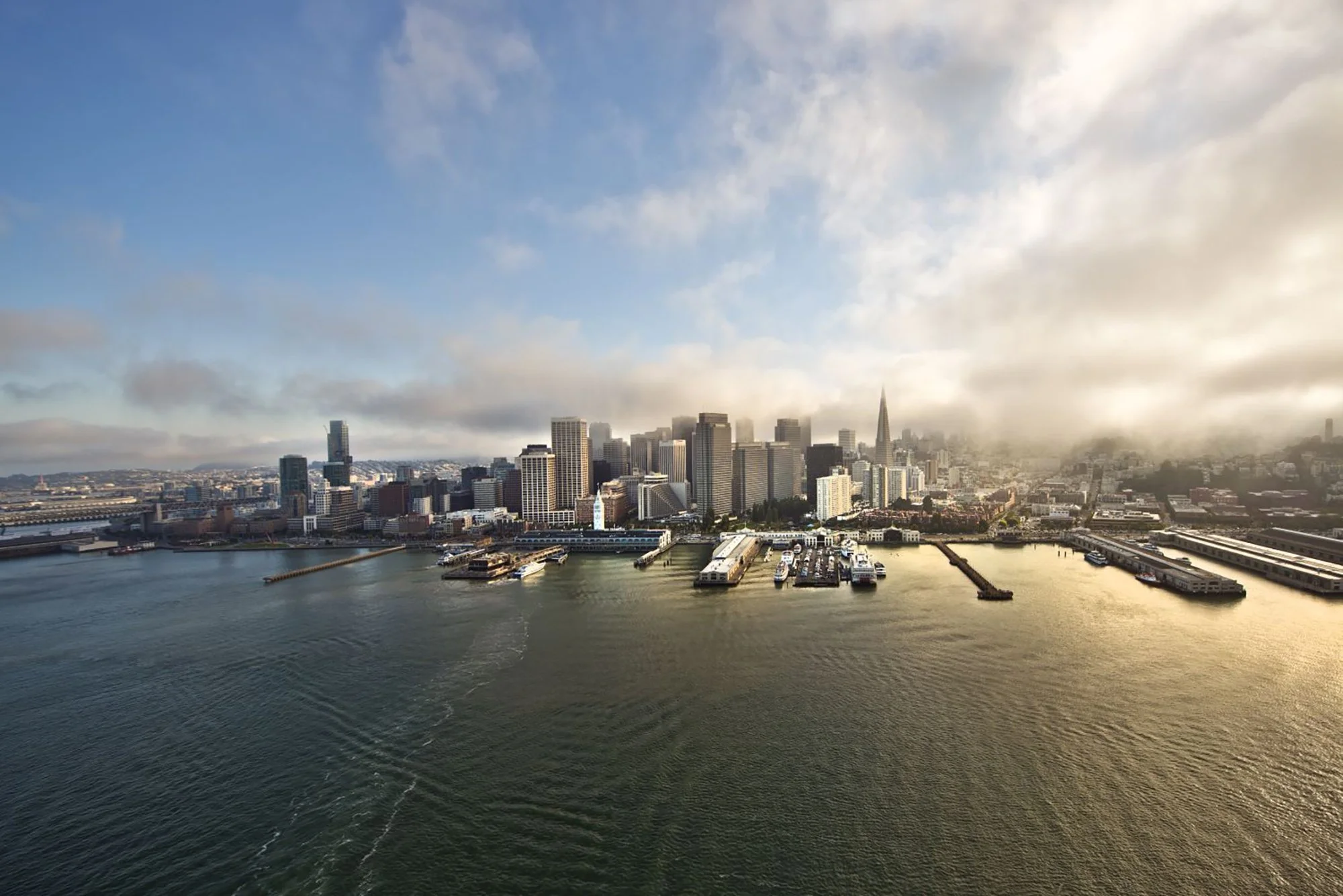 SF.jpg