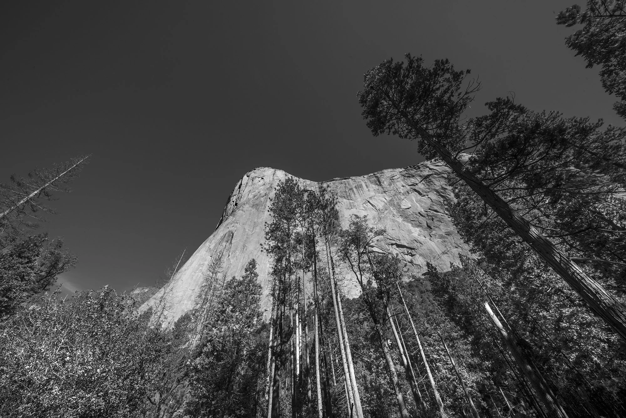 _D816465.jpg