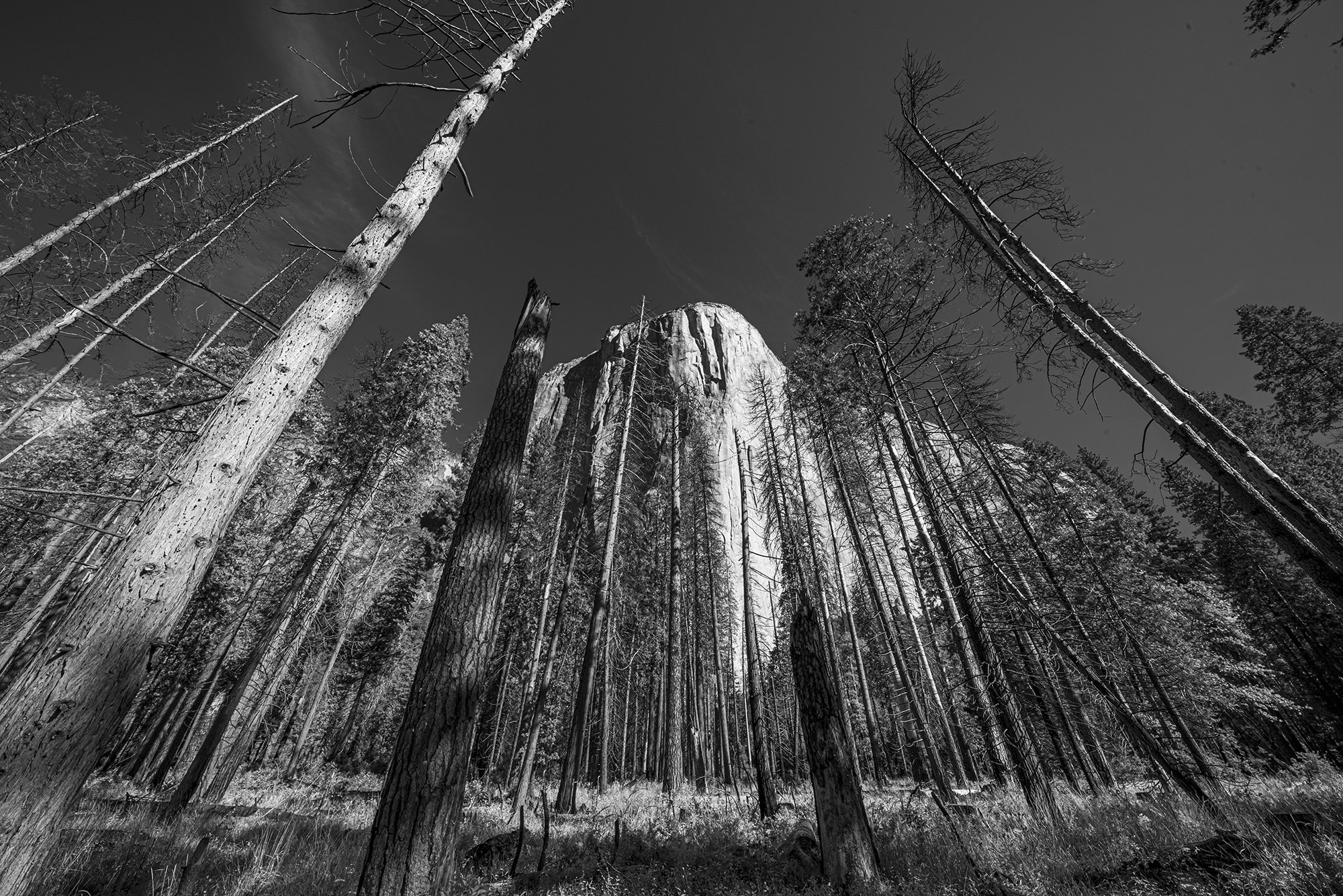 _D816485.jpg