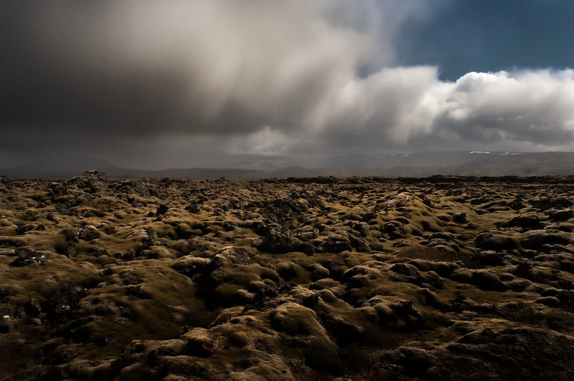 _DSC1084.jpg