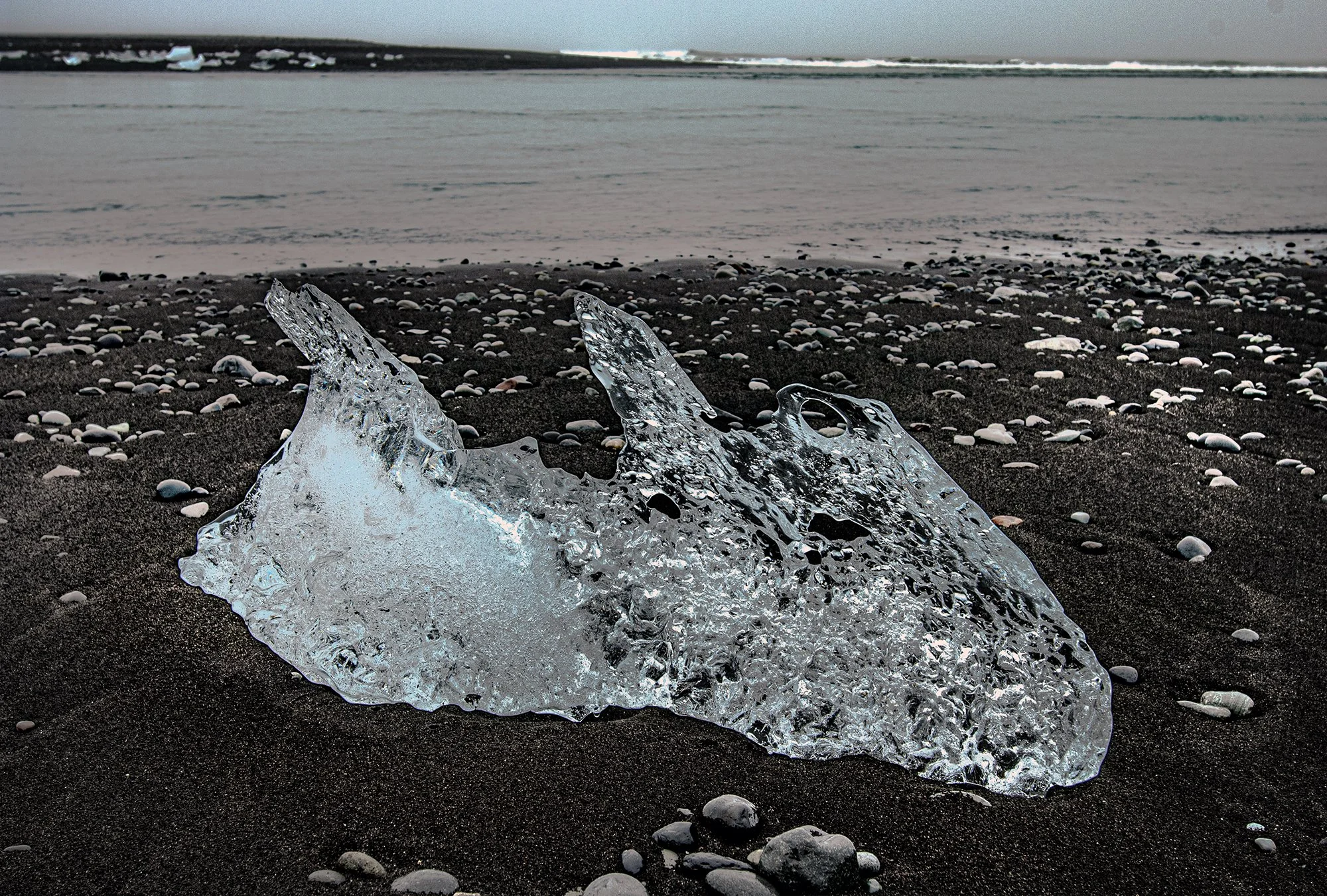 _DSC0874.jpg
