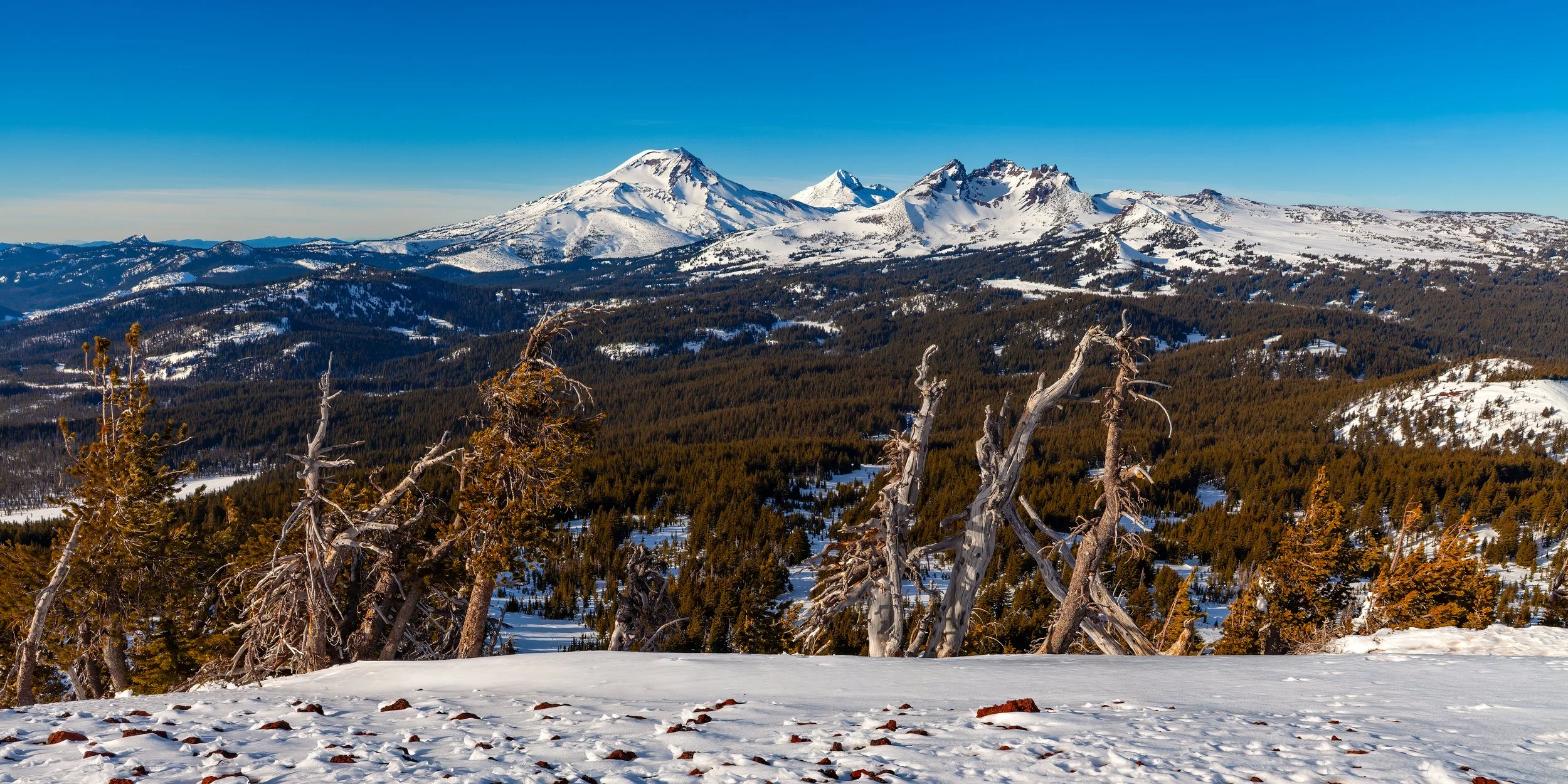 _MG_6996.jpg