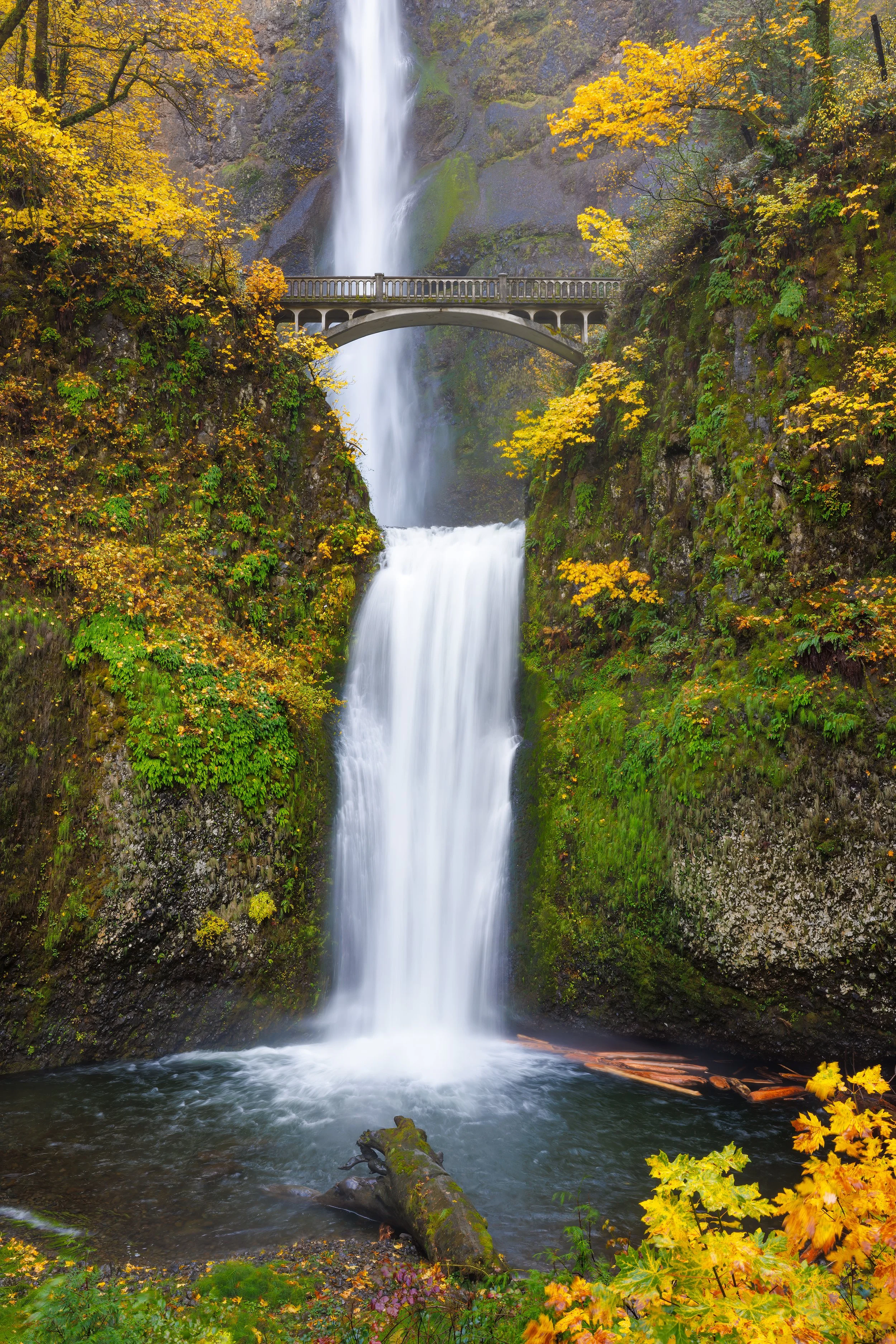 Fall at the Falls