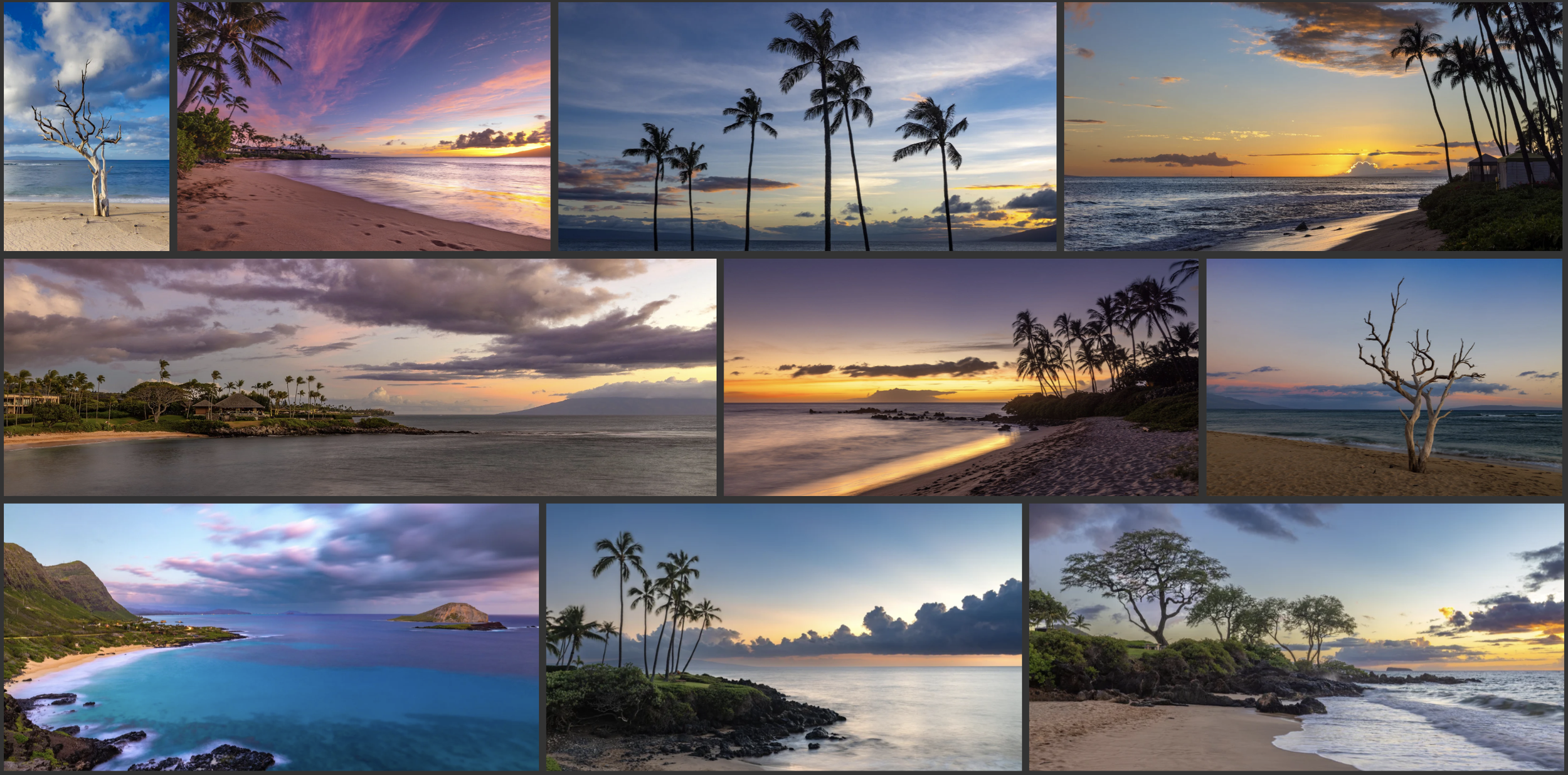 Collection of various beach and sunset scenes, featuring palm trees, sandy beaches, waves, and colorful skies during sunset or sunrise.