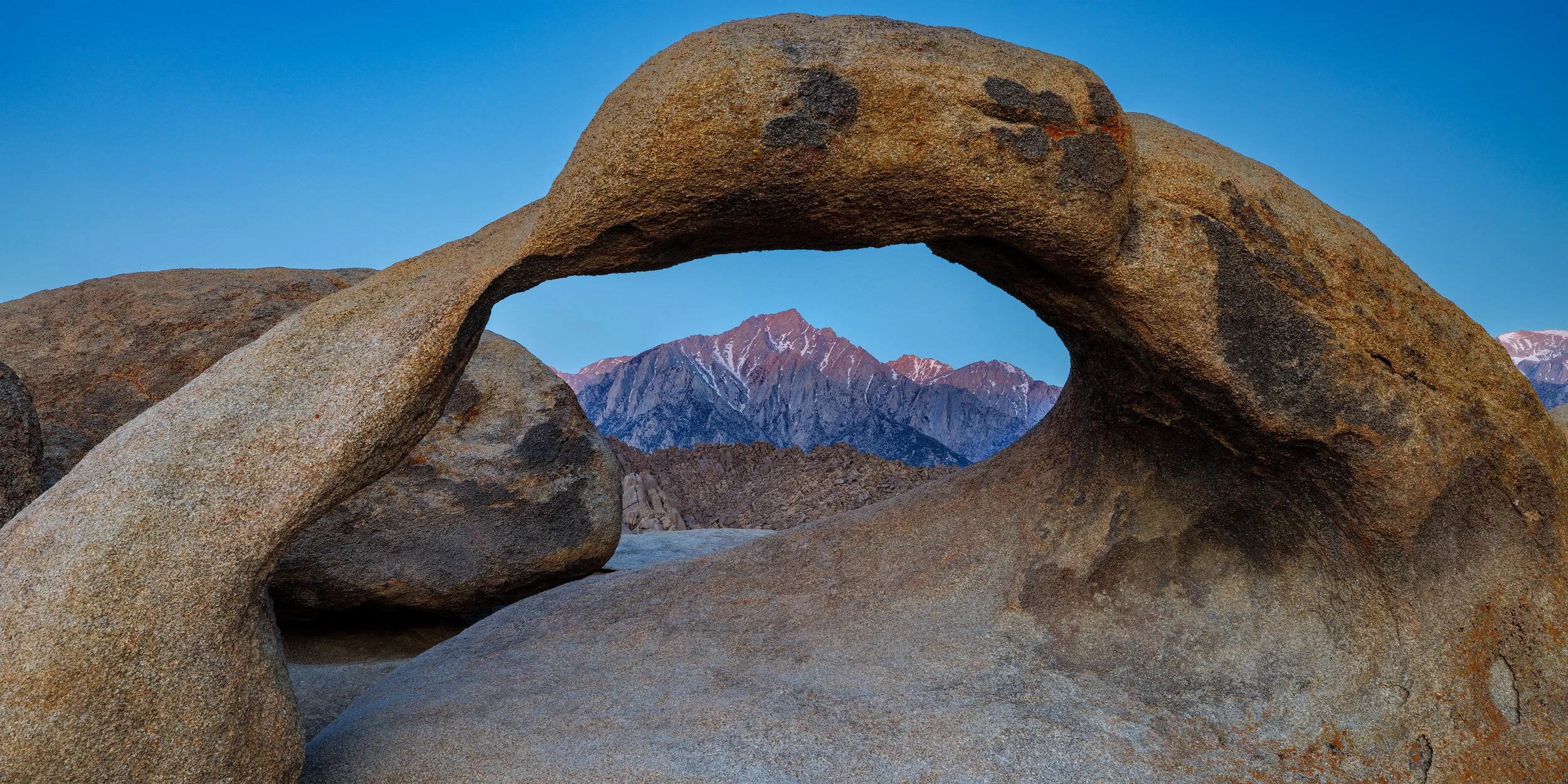 _Y9A3171-1v2-Natures Picture Frame-web.jpg