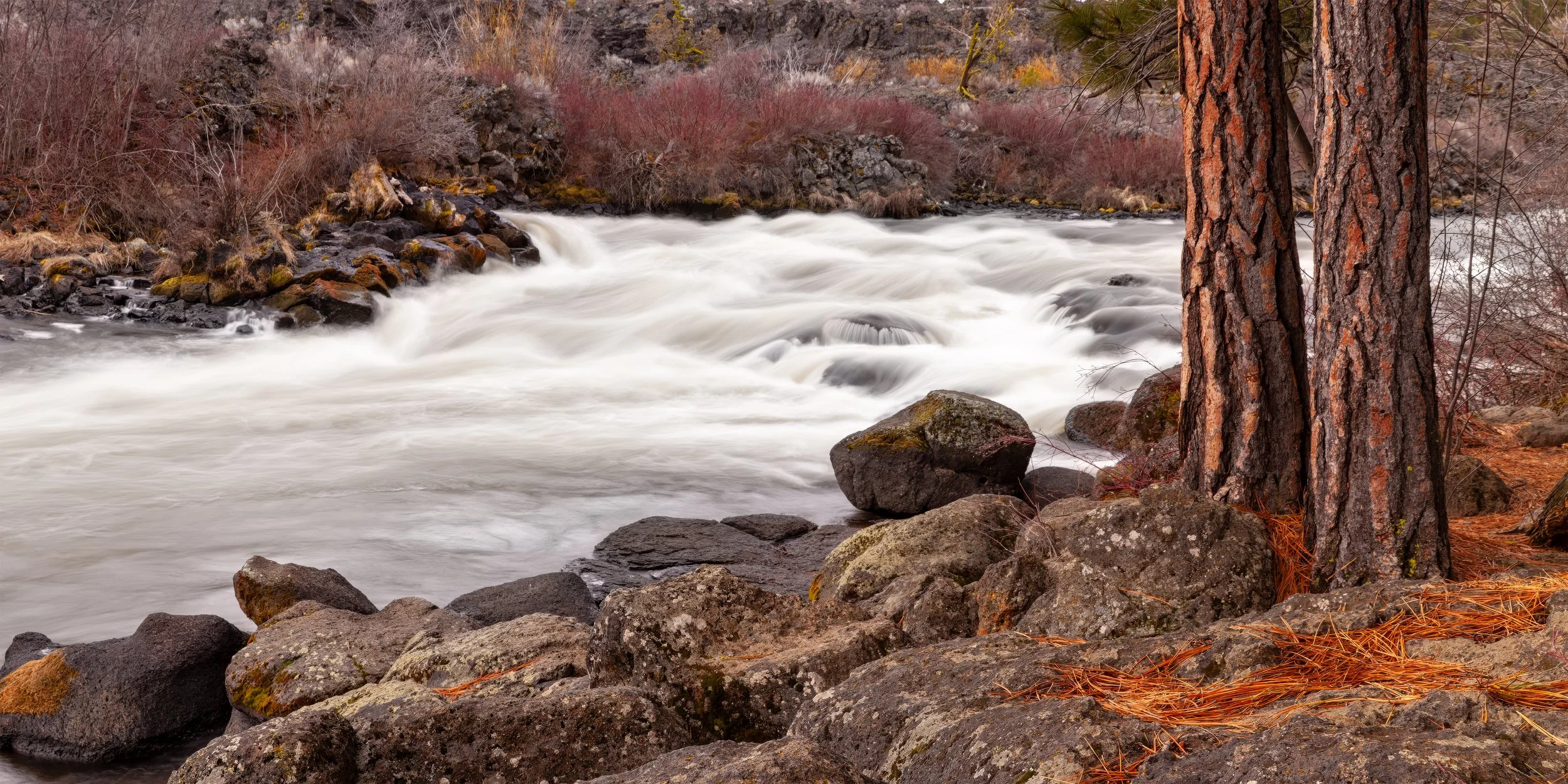 _MG_7869.jpg