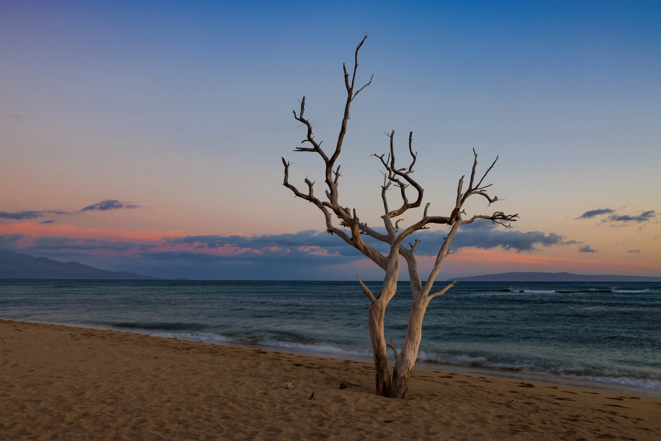 _Y9A2135 copy-2.jpg