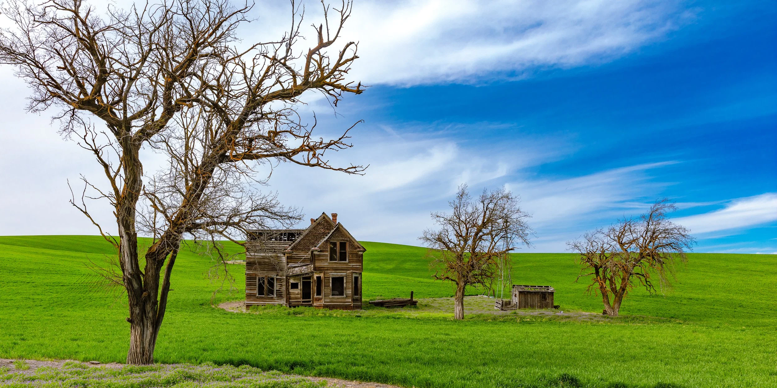 Still Standing-web.jpg