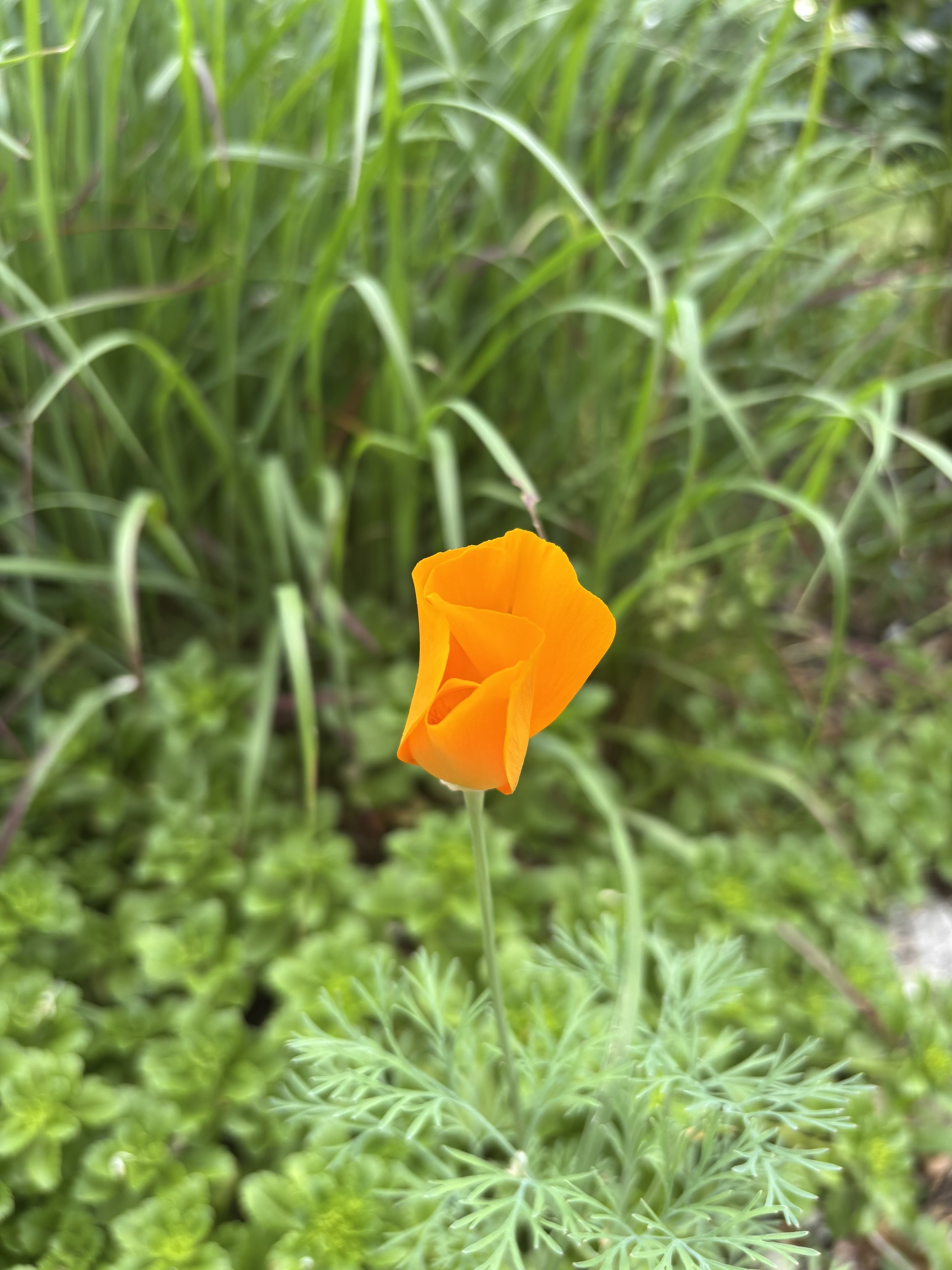 IMG_5303.jpeg