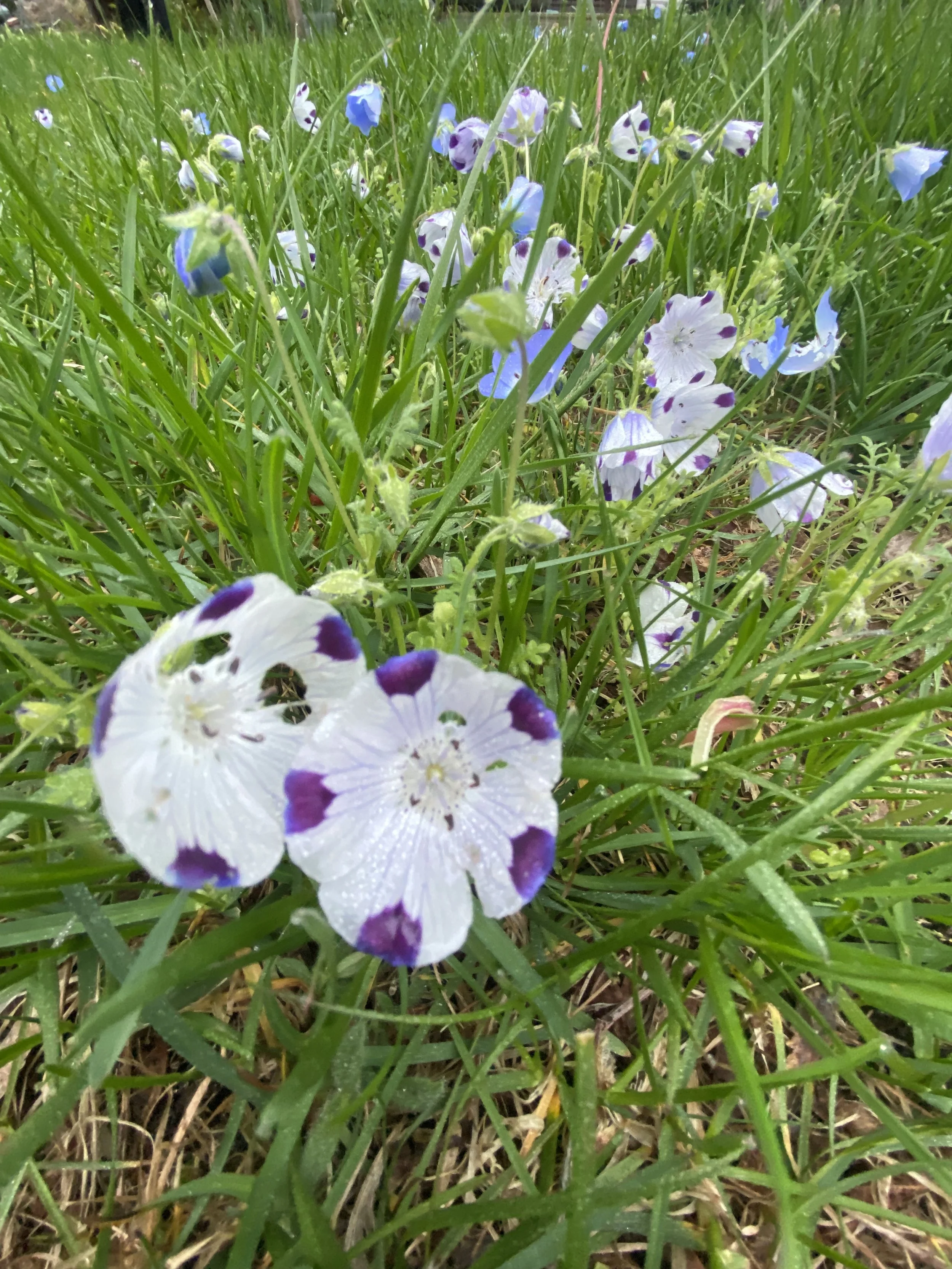 IMG_3448.jpeg