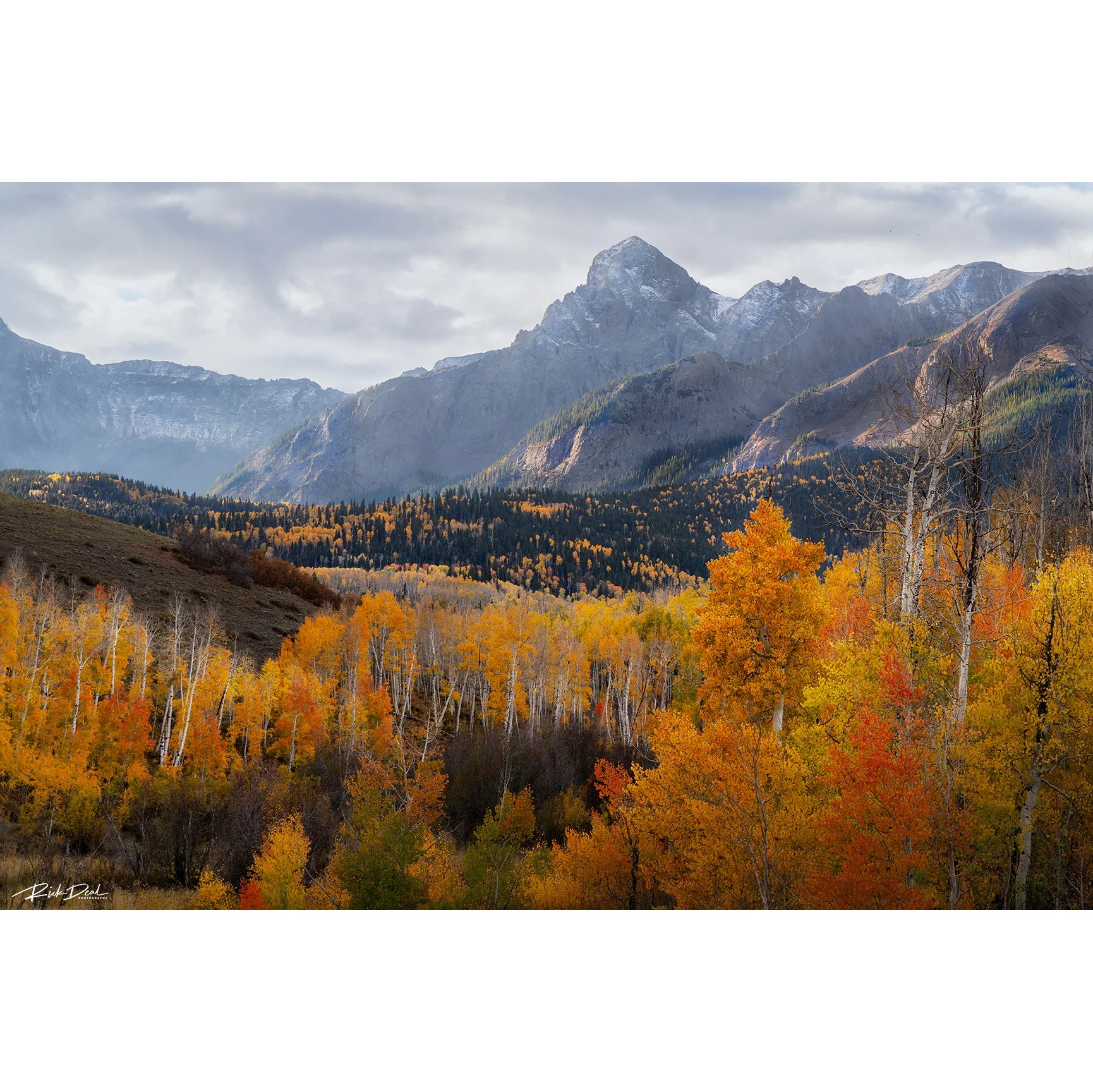 ***NEW for 2026***                 Shine Before Others