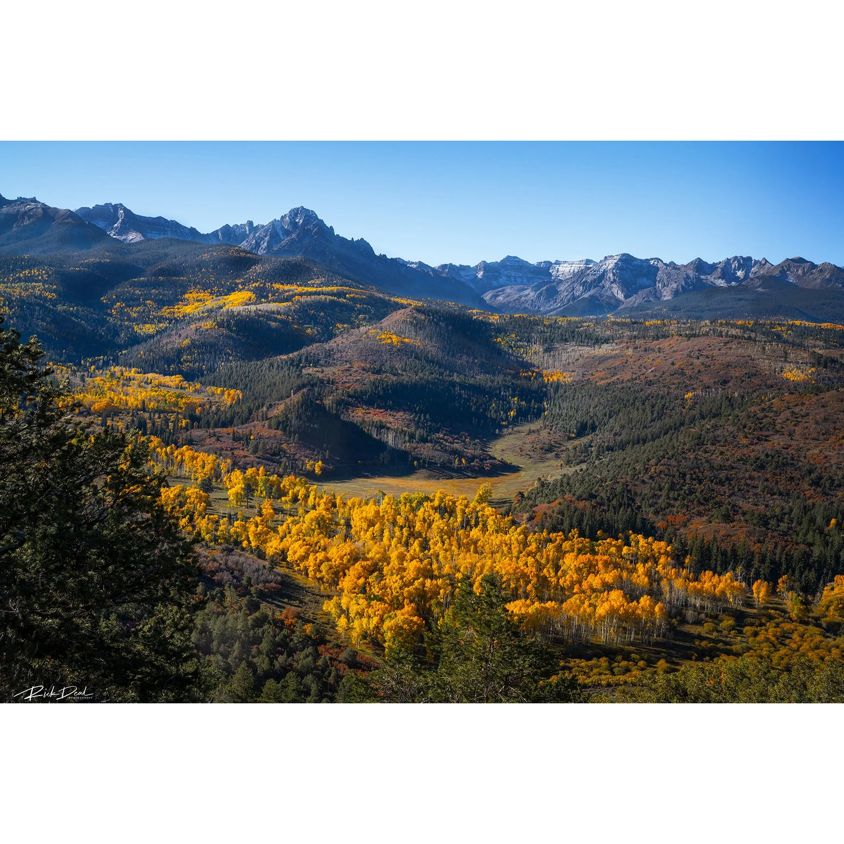 ***NEW for 2026***    Come to Seek