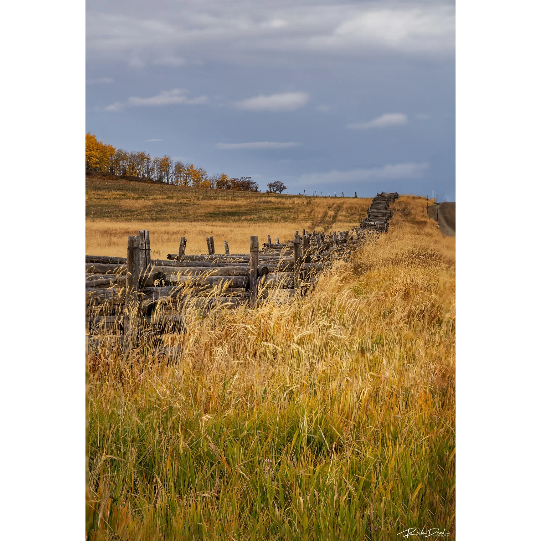 ***NEW for 2026***    End of the Age