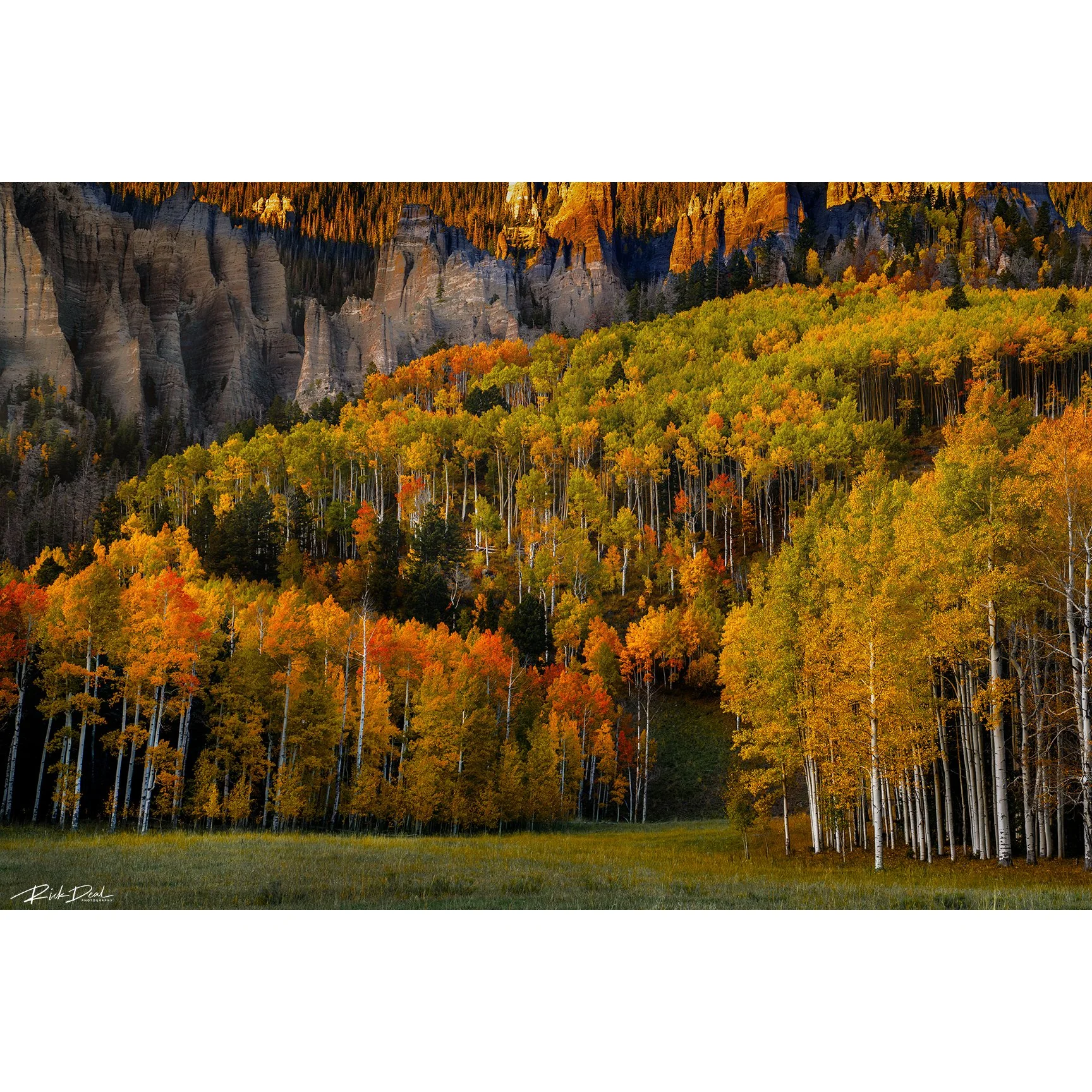 ***NEW for 2026***    Challenges Through Faith