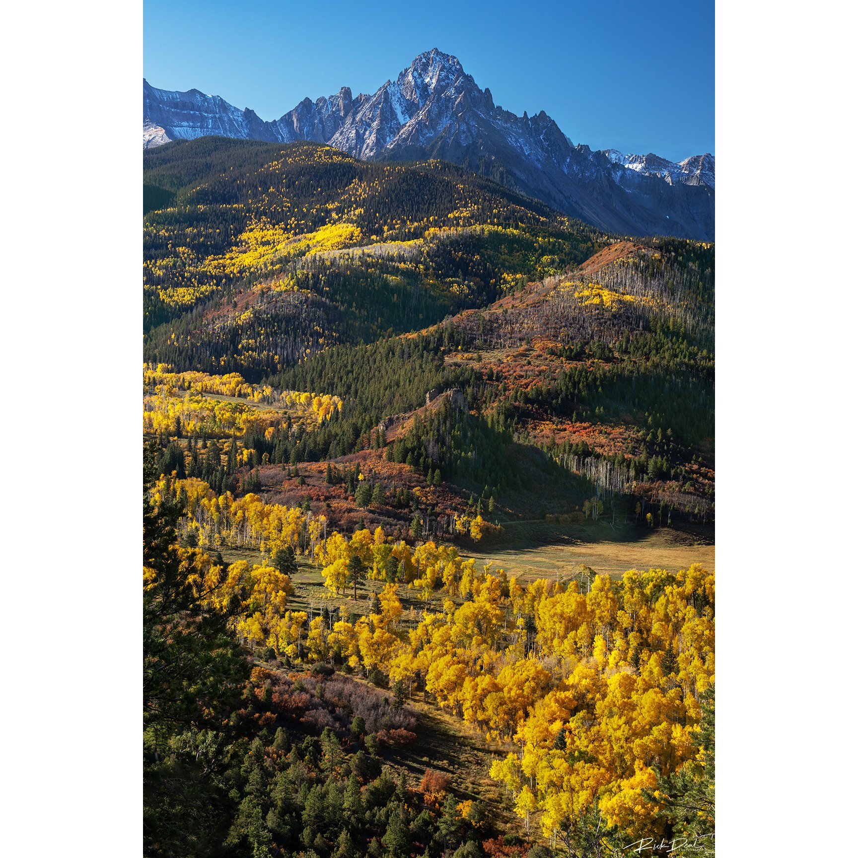 ***NEW for 2026***    Belong to Him